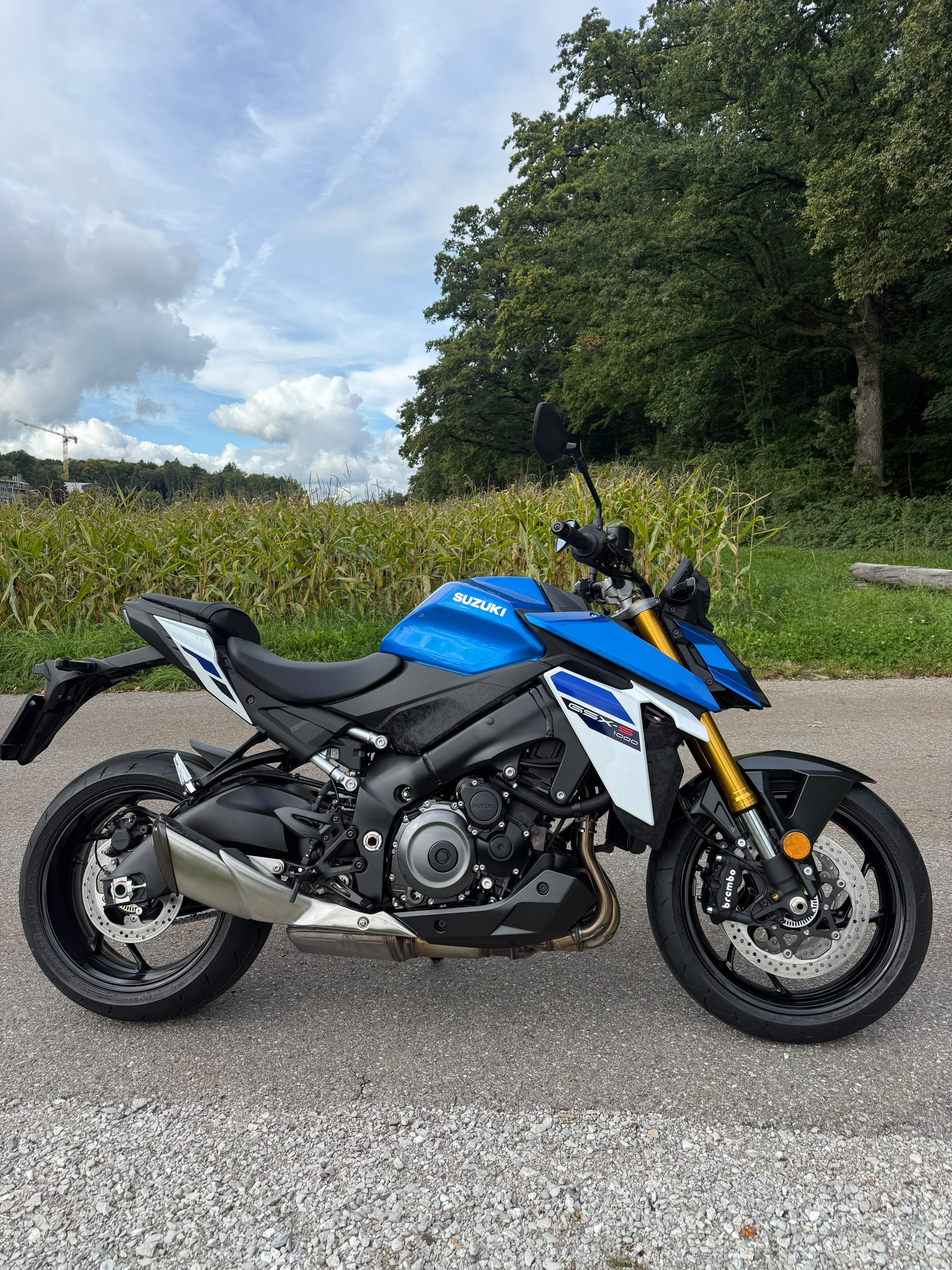 SUZUKI GSX-S 1000