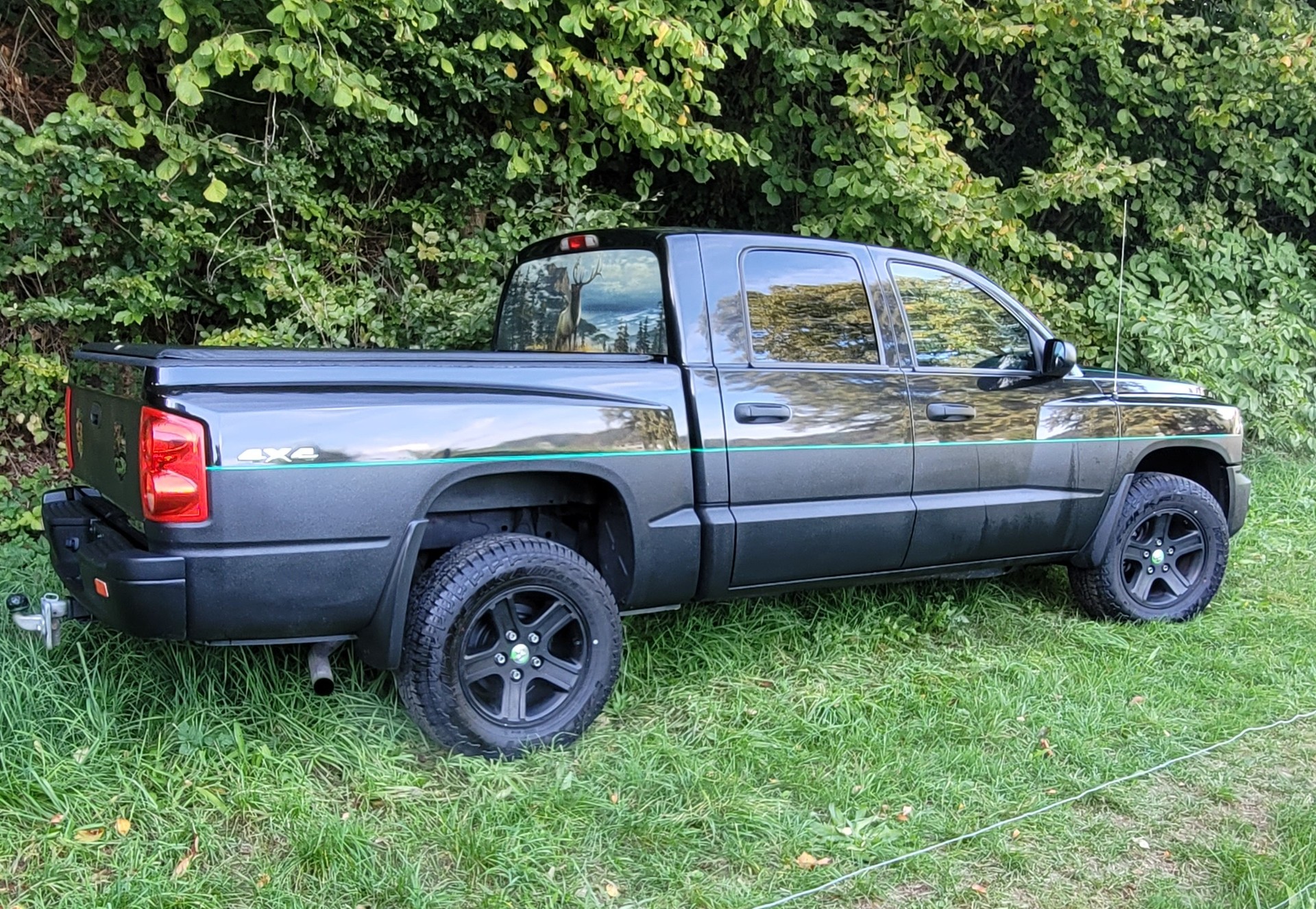 DODGE Dakota-image-1