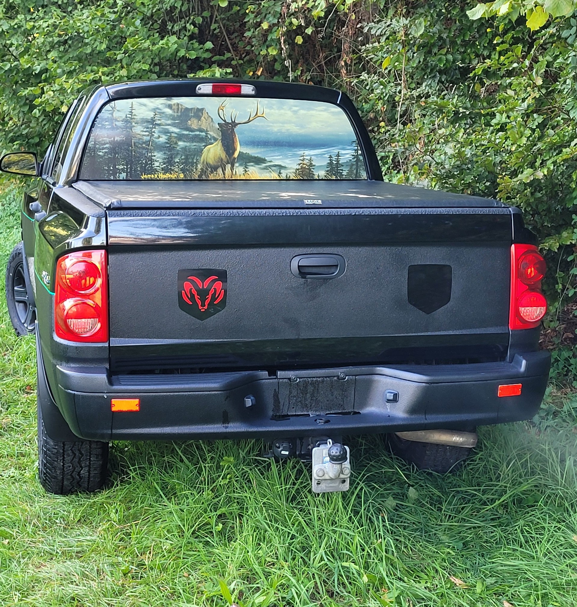 DODGE Dakota-image-3
