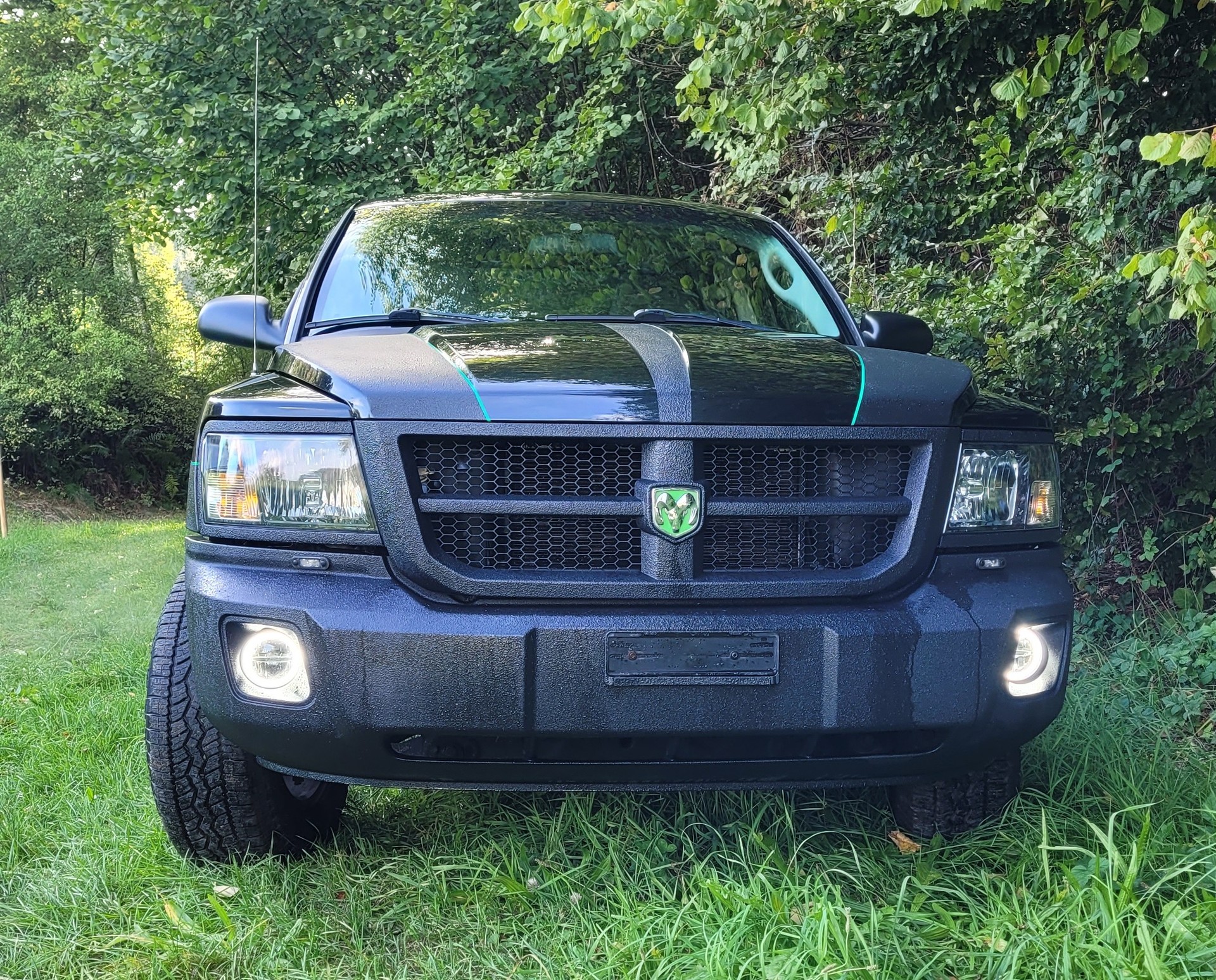 DODGE Dakota-image-0
