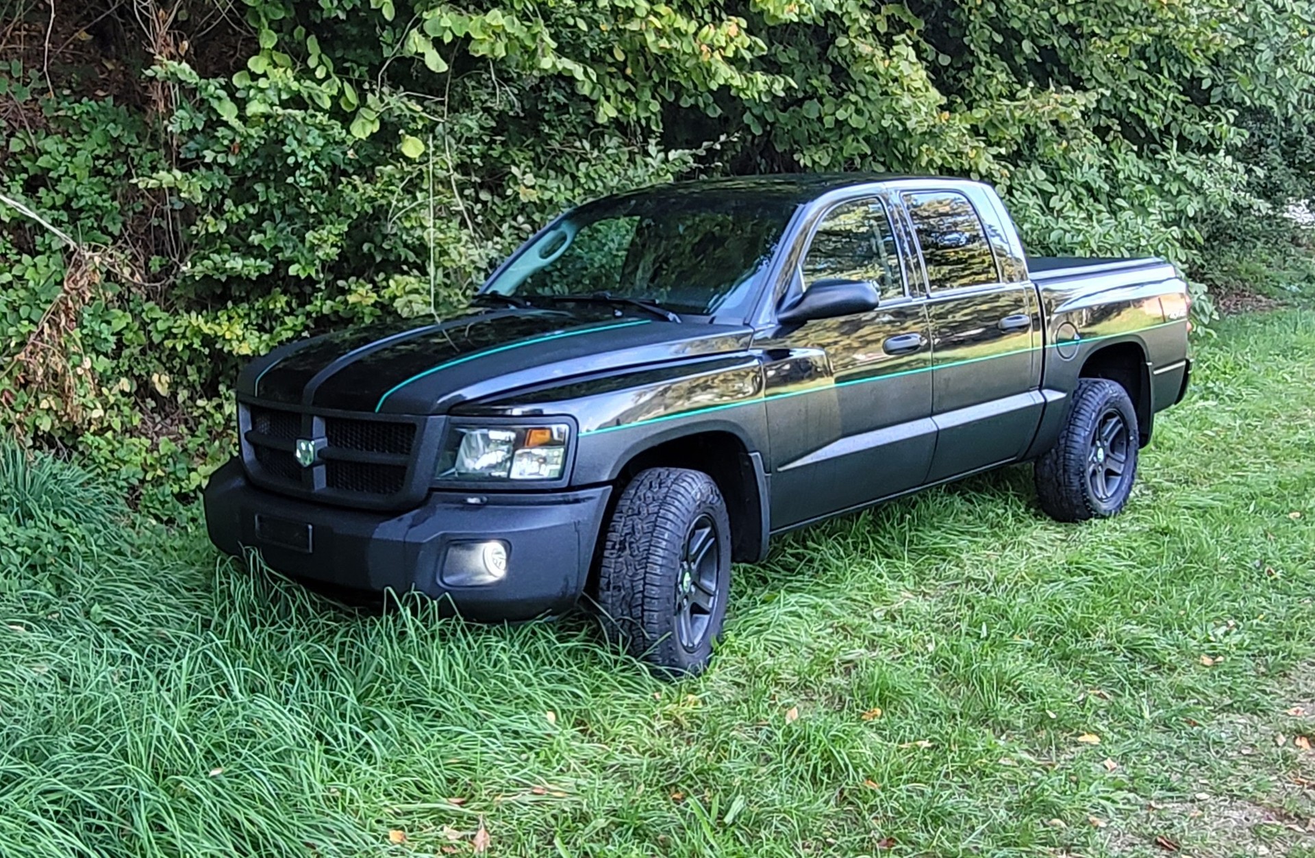 DODGE Dakota-image-2