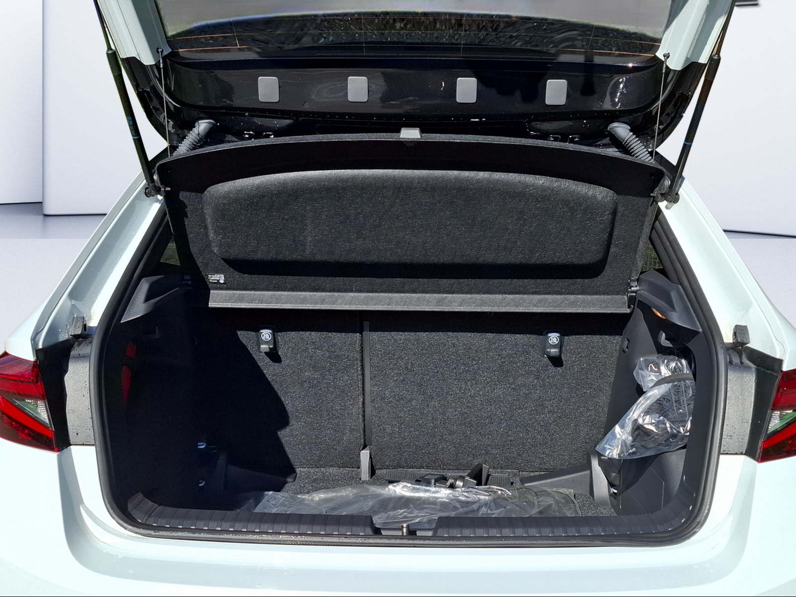 SKODA Fabia 1.0 TSI Monte Carlo DSG-image-8