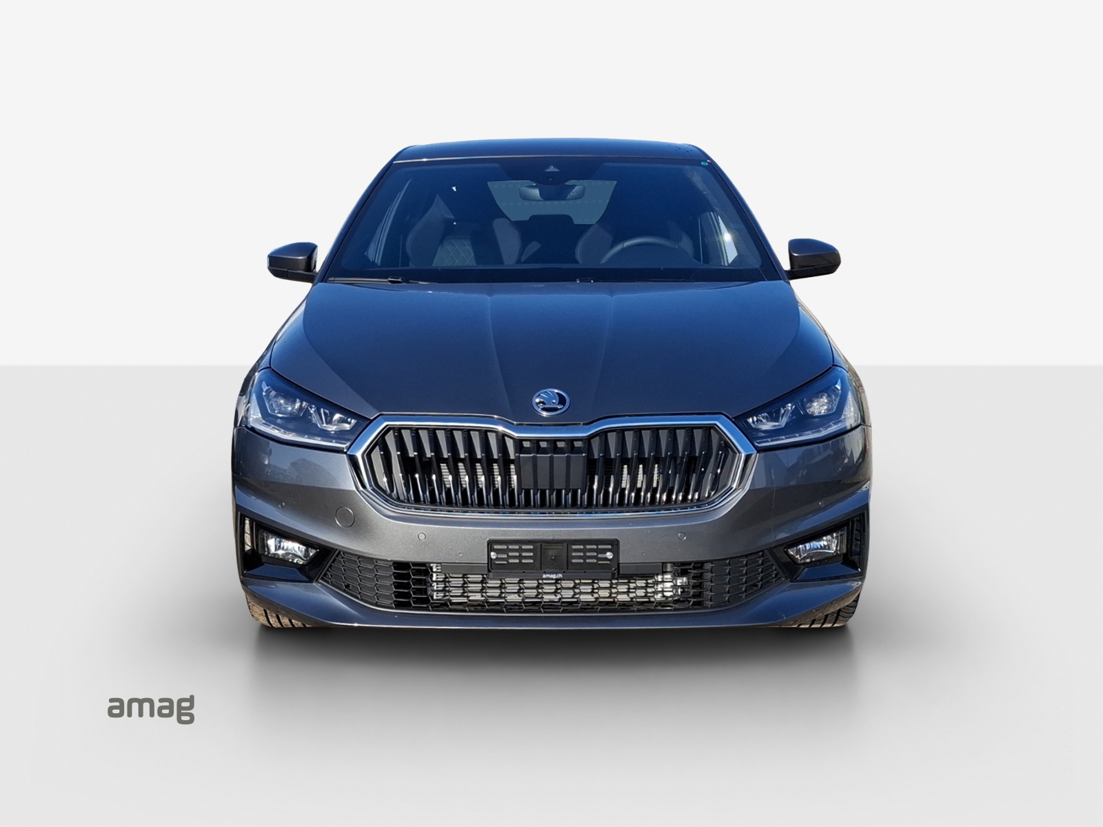 SKODA Fabia 1.5 TSI Dynamic DSG-image-6