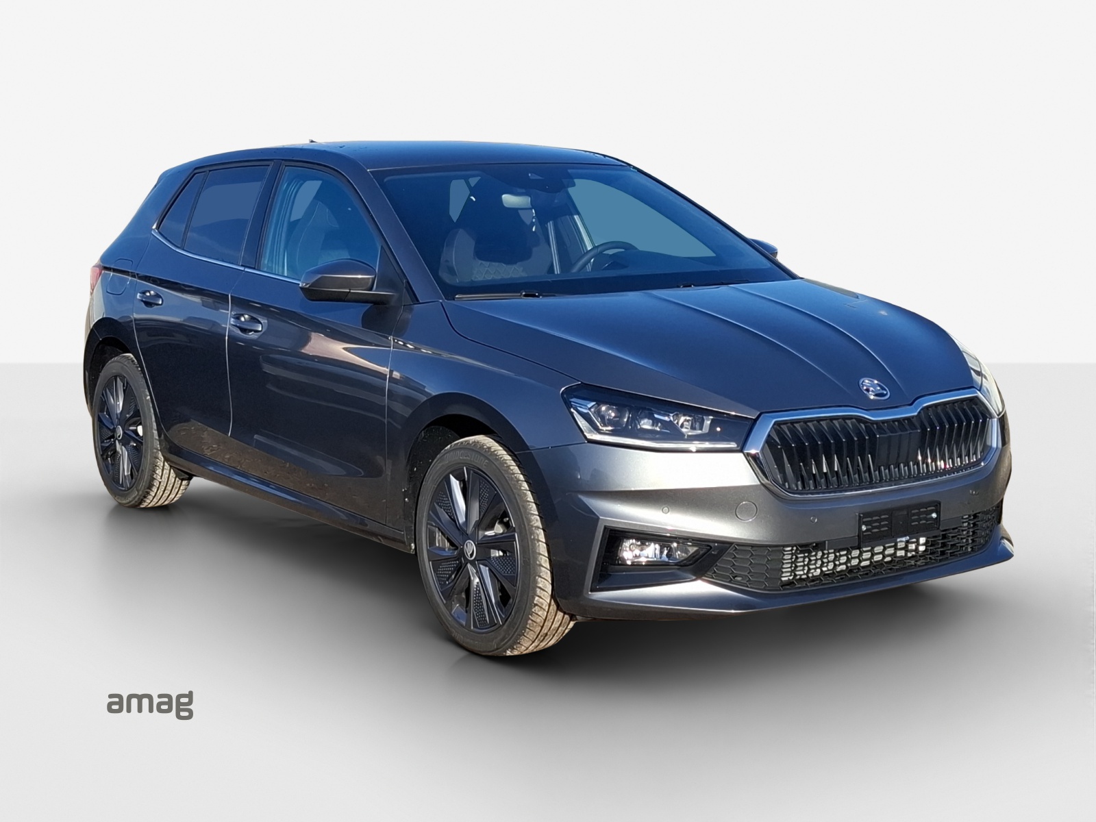 SKODA Fabia 1.5 TSI Dynamic DSG-image-5
