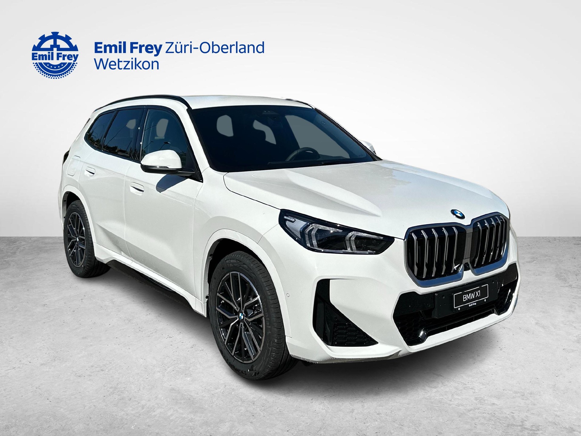 BMW X1 23i xDrive-image-6