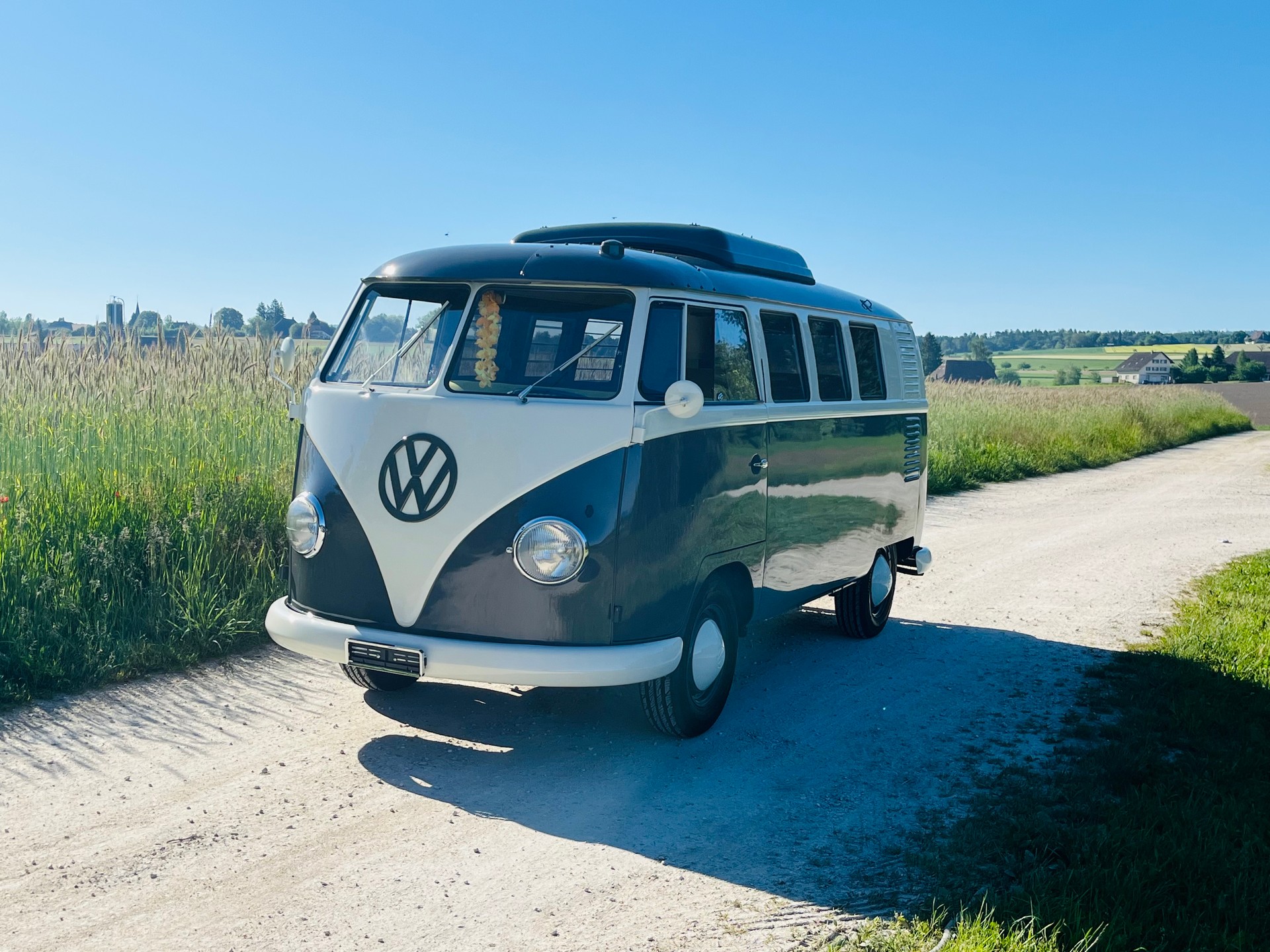 VW T1-image-1