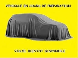 FIAT 500L Living 1.3 JTD Business Class Dualogic