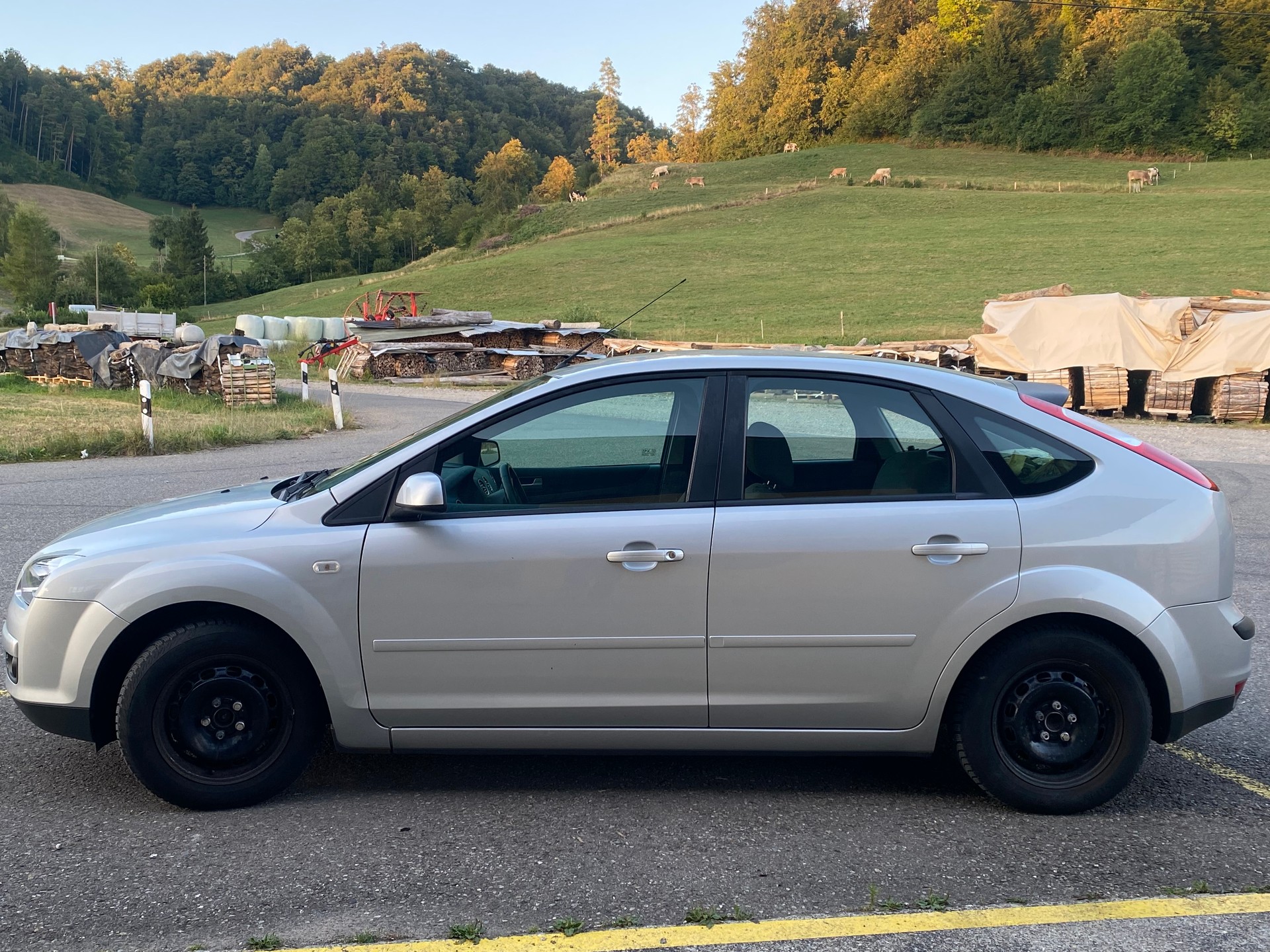 FORD Focus 1.6i VCT Carving Frisch ab MFK-image-3