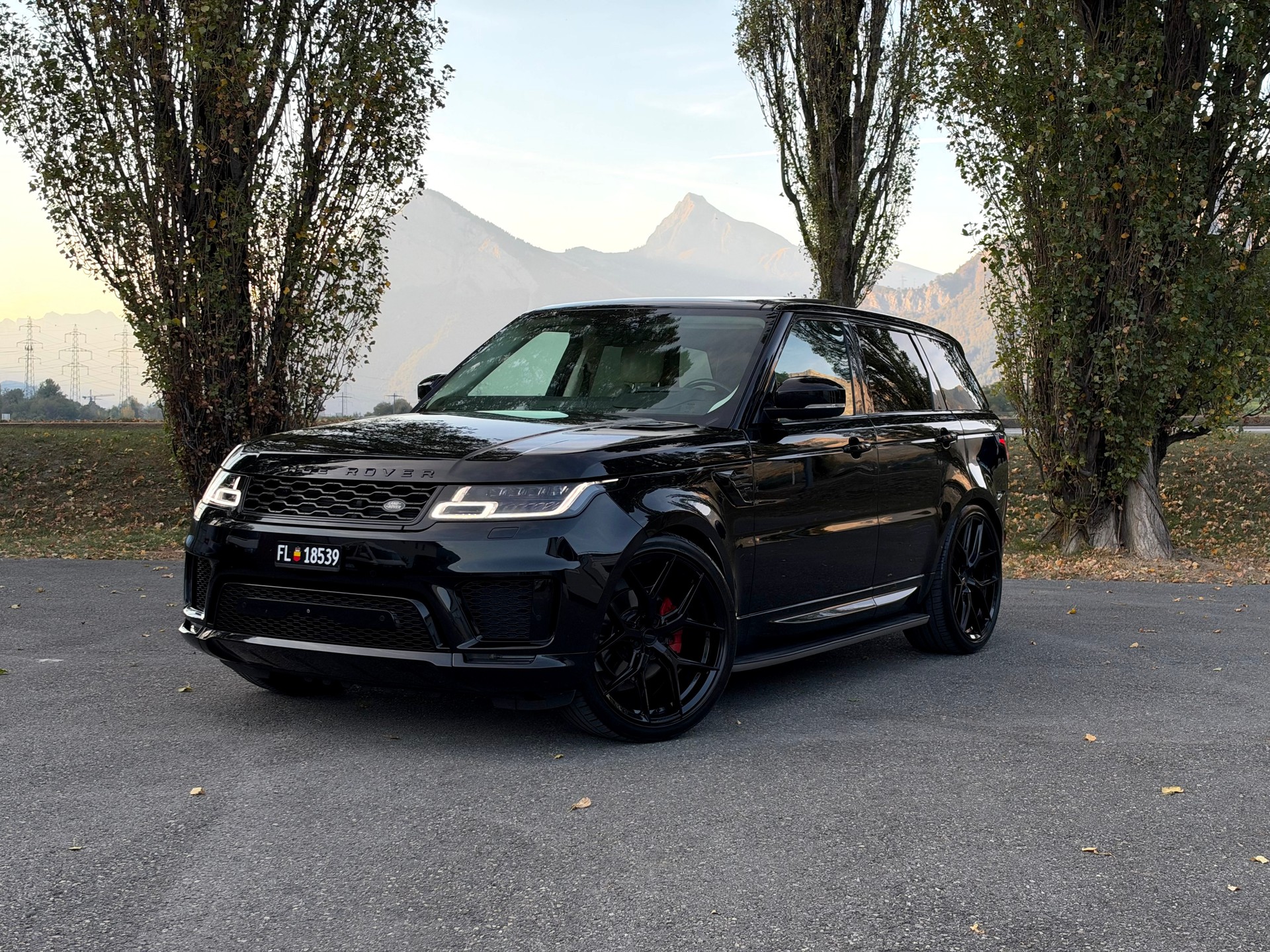 LAND ROVER 3.0 SDV6 HSE Dynamic-image-0