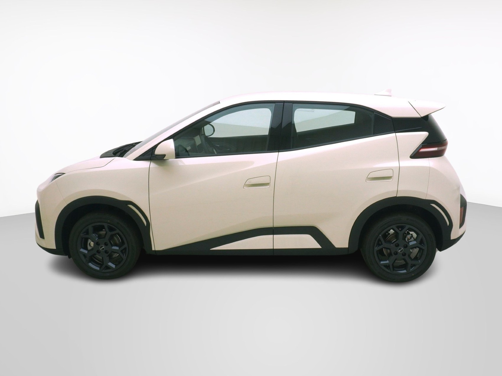 BYD Dolphin Surf Boost-image-1