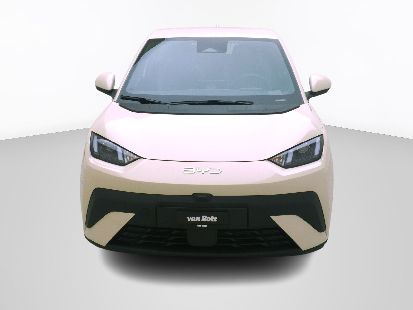 BYD Dolphin Surf Boost-image-5