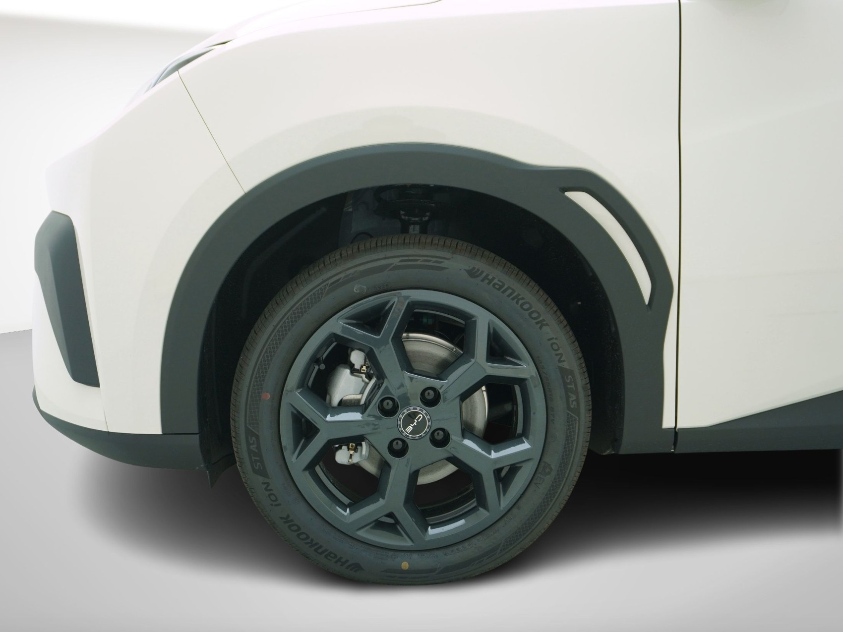 BYD Dolphin Surf Boost-image-8