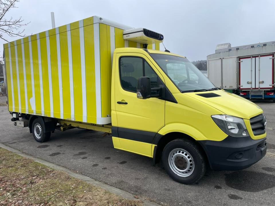 MERCEDES-BENZ Sprinter 313 CDI Kühlkoffer mit LBW-image-0
