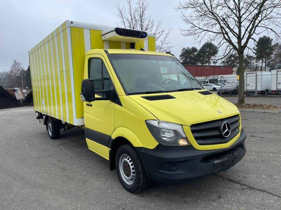 MERCEDES-BENZ Sprinter 313 CDI Kühlkoffer mit LBW-image-3