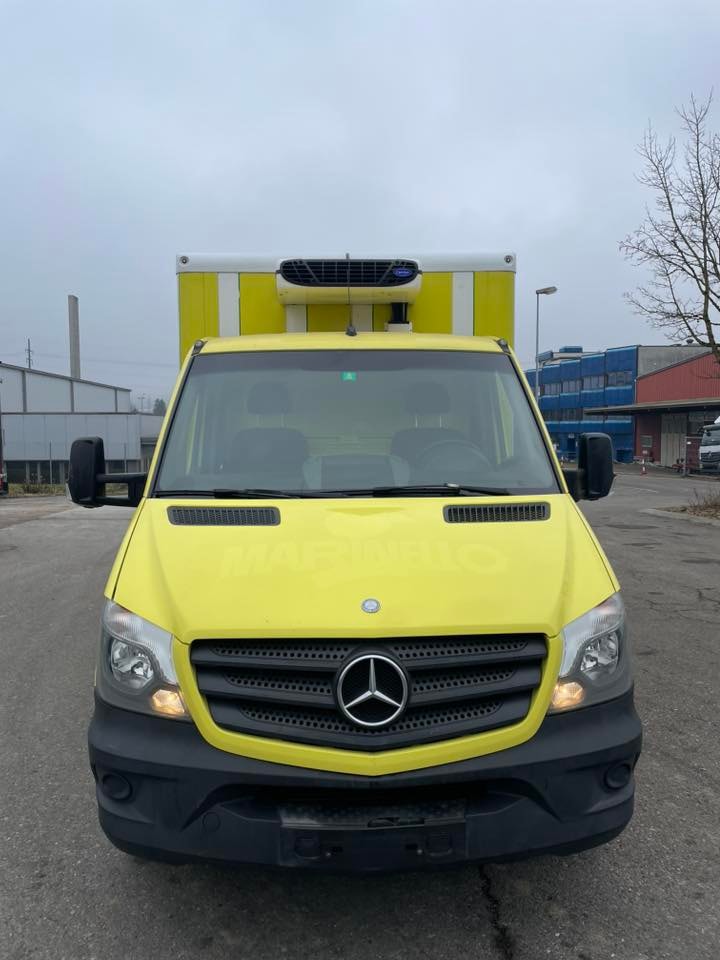 MERCEDES-BENZ Sprinter 313 CDI Kühlkoffer mit LBW-image-1