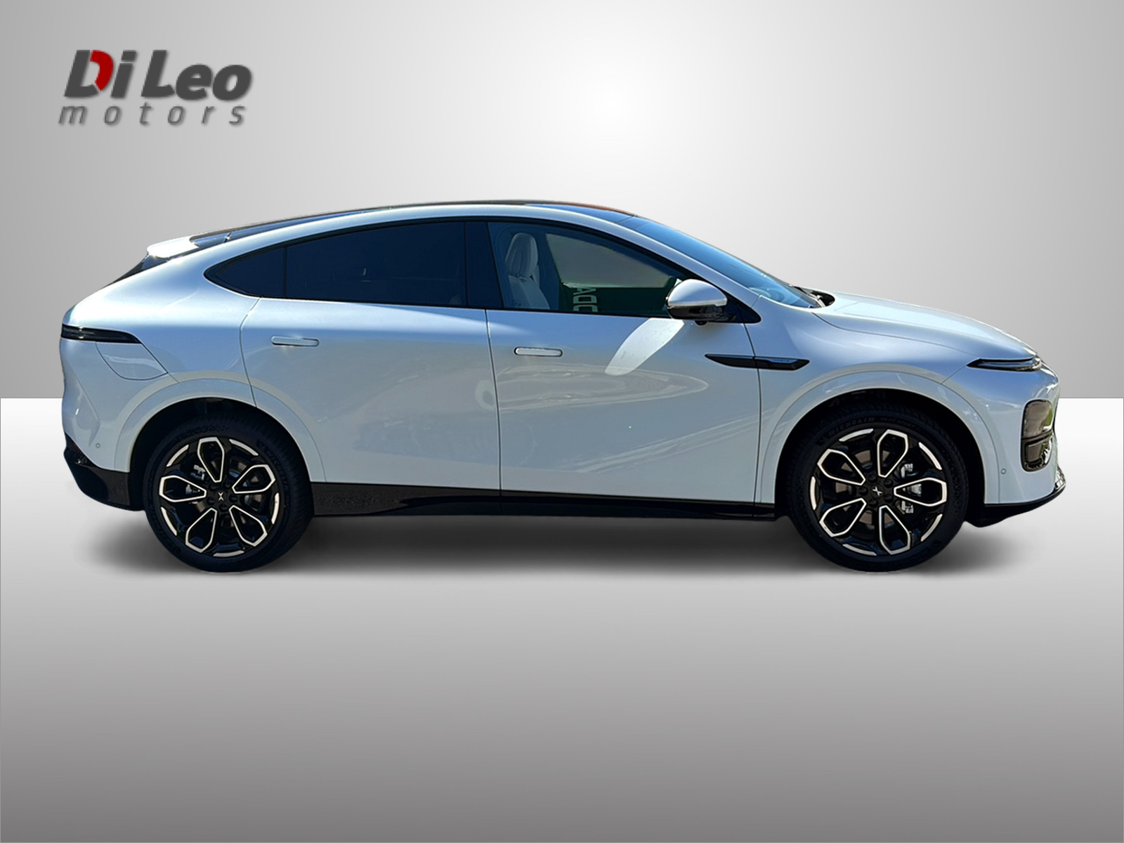 XPENG G6 80kWh Performance AWD-image-3