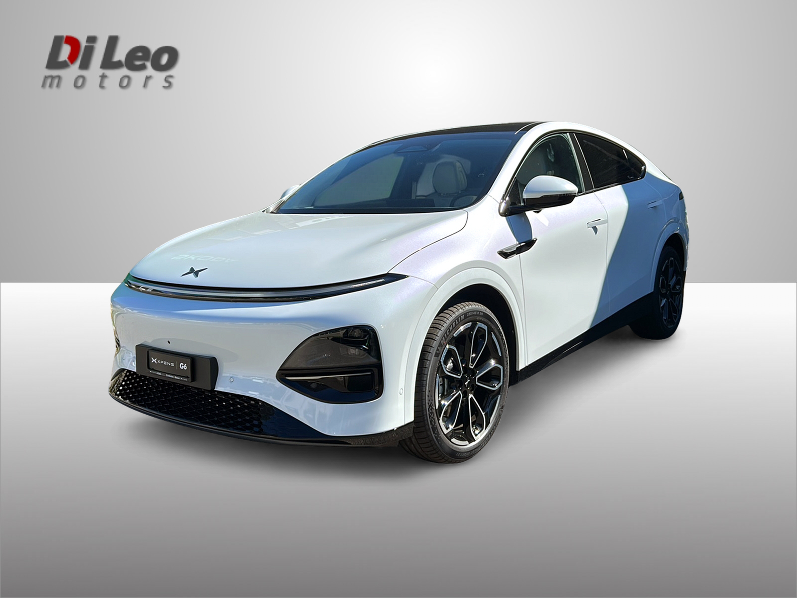 XPENG G6 80kWh Performance AWD-image-0