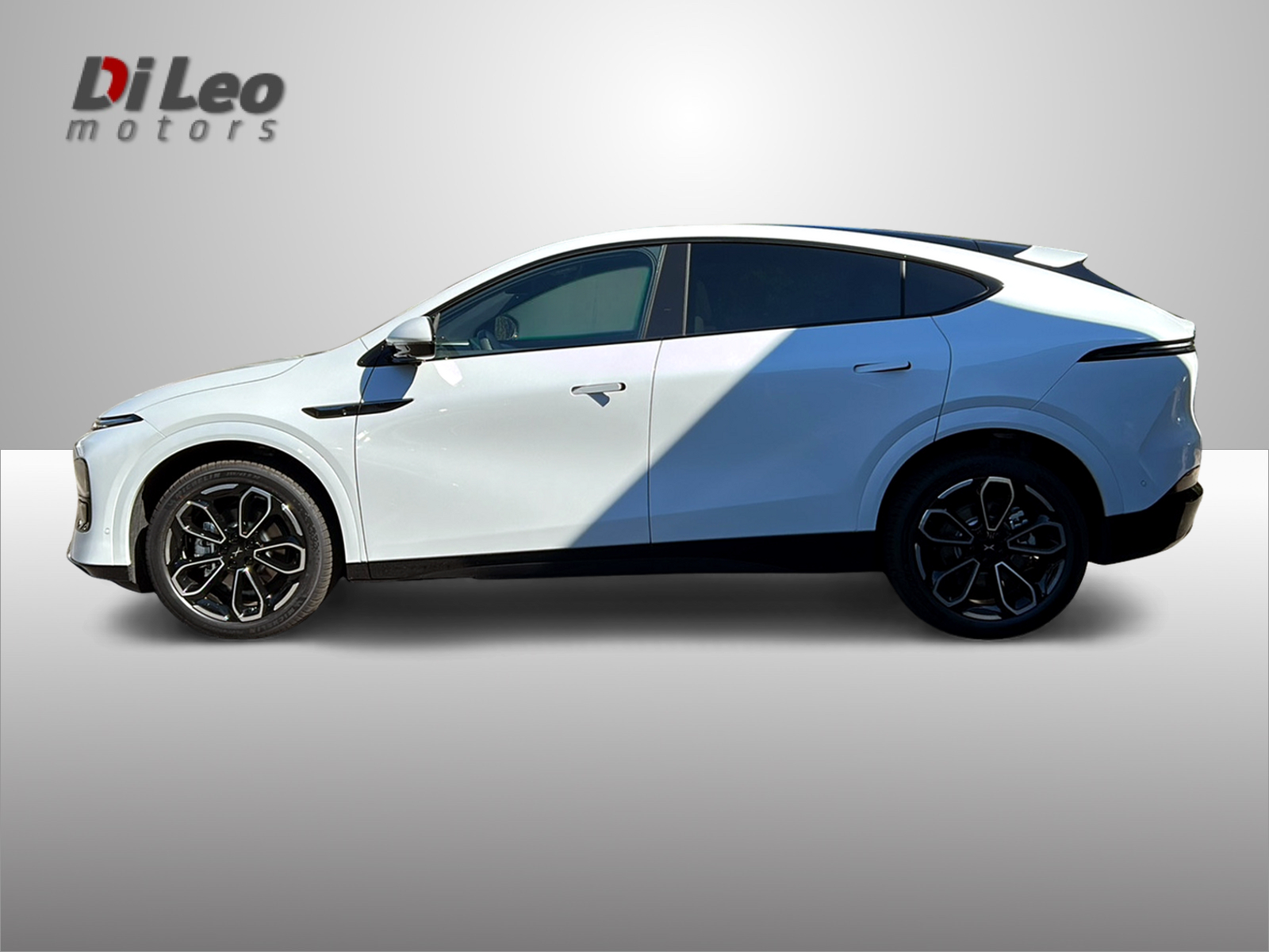 XPENG G6 80kWh Performance AWD-image-7