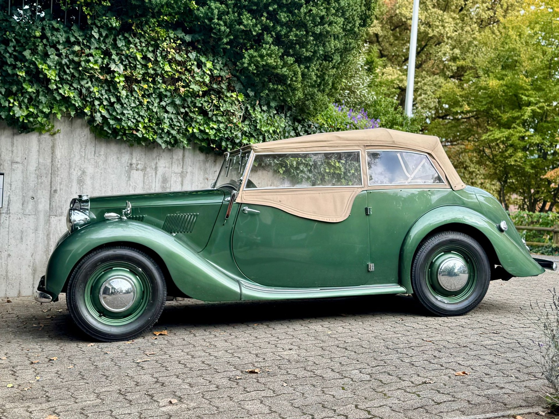 MG YT-image-0