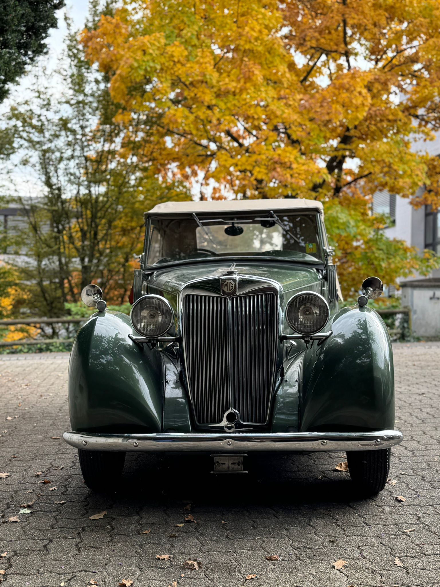 MG YT-image-1