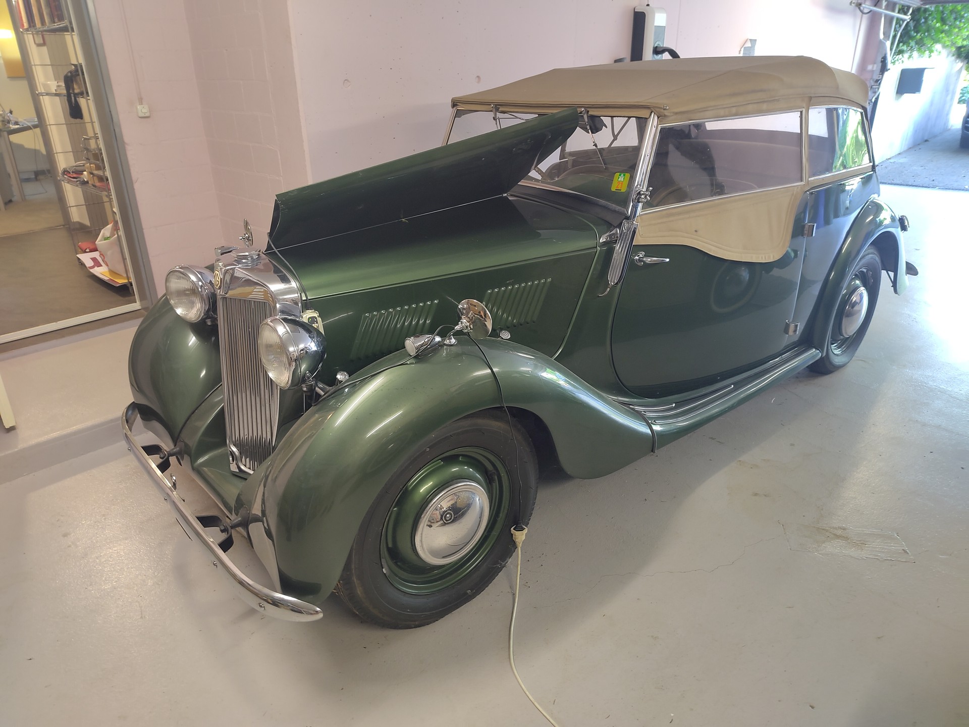 MG YT-image-3