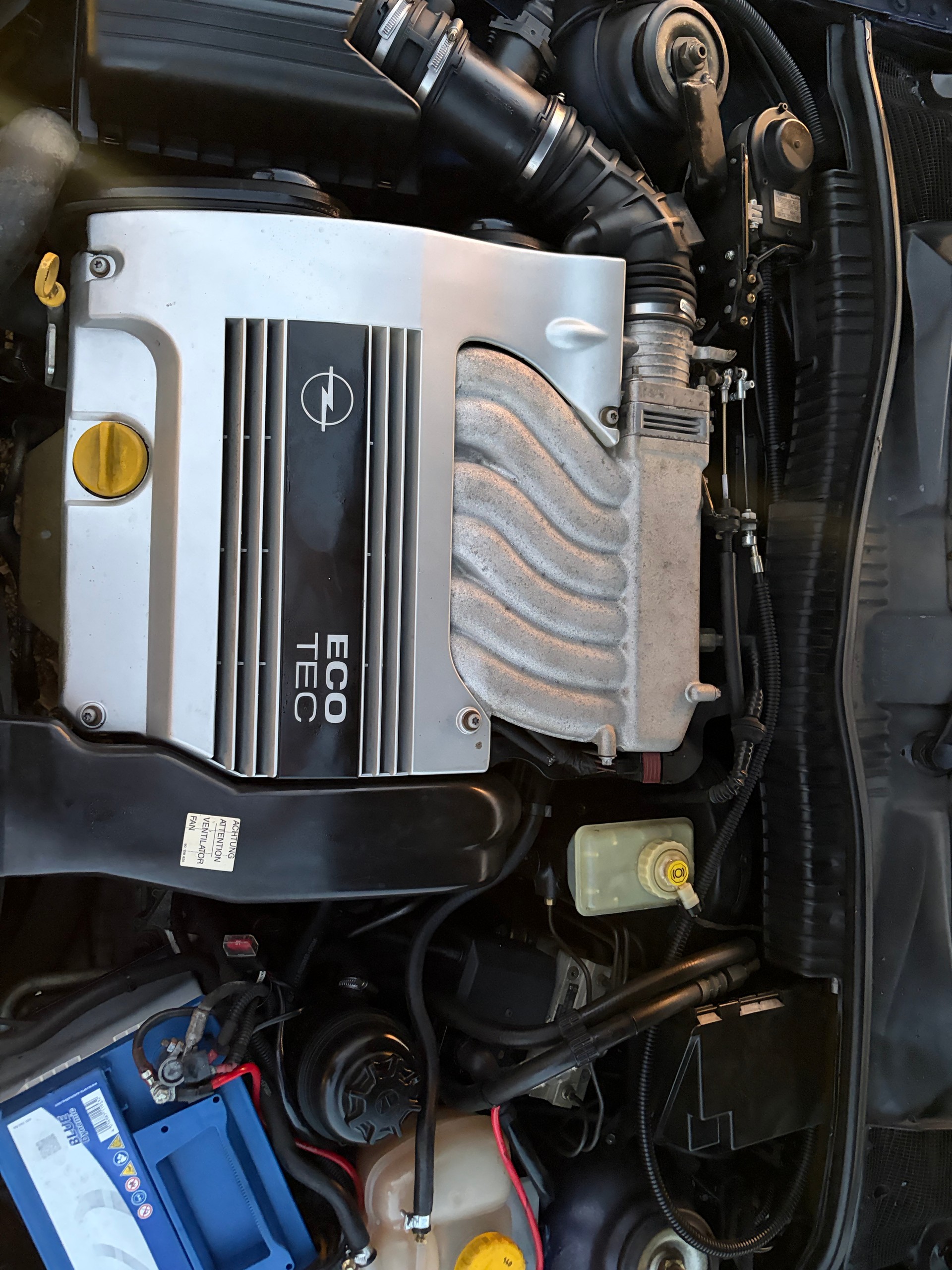 OPEL Calibra 2.5i V6 Rosberg-image-11