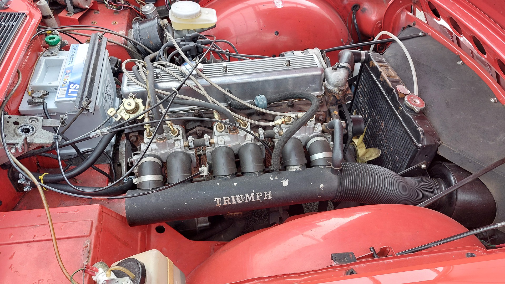 TRIUMPH TR6-image-11