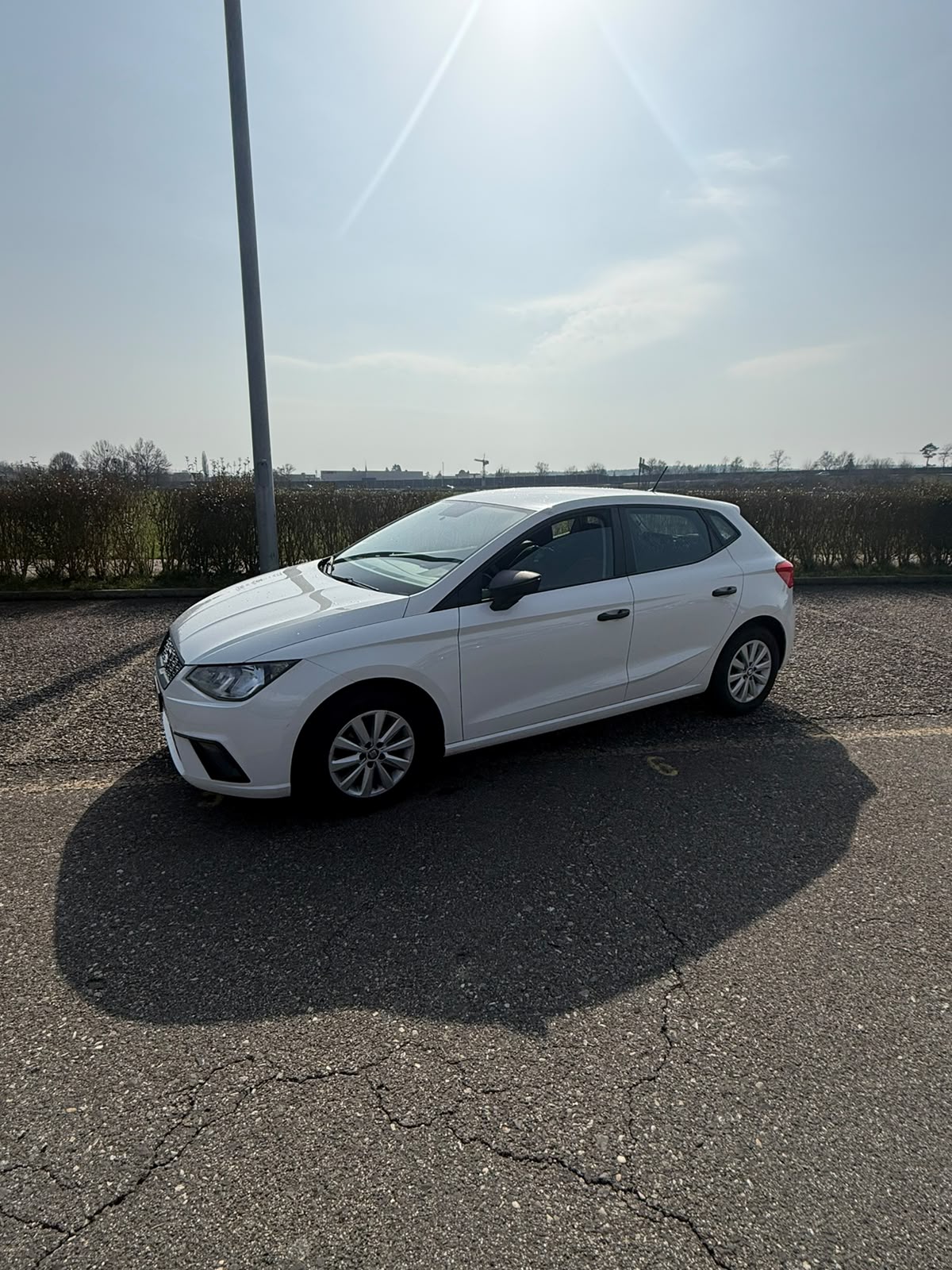 SEAT Ibiza 1.0 EcoTSI Reference-image-2