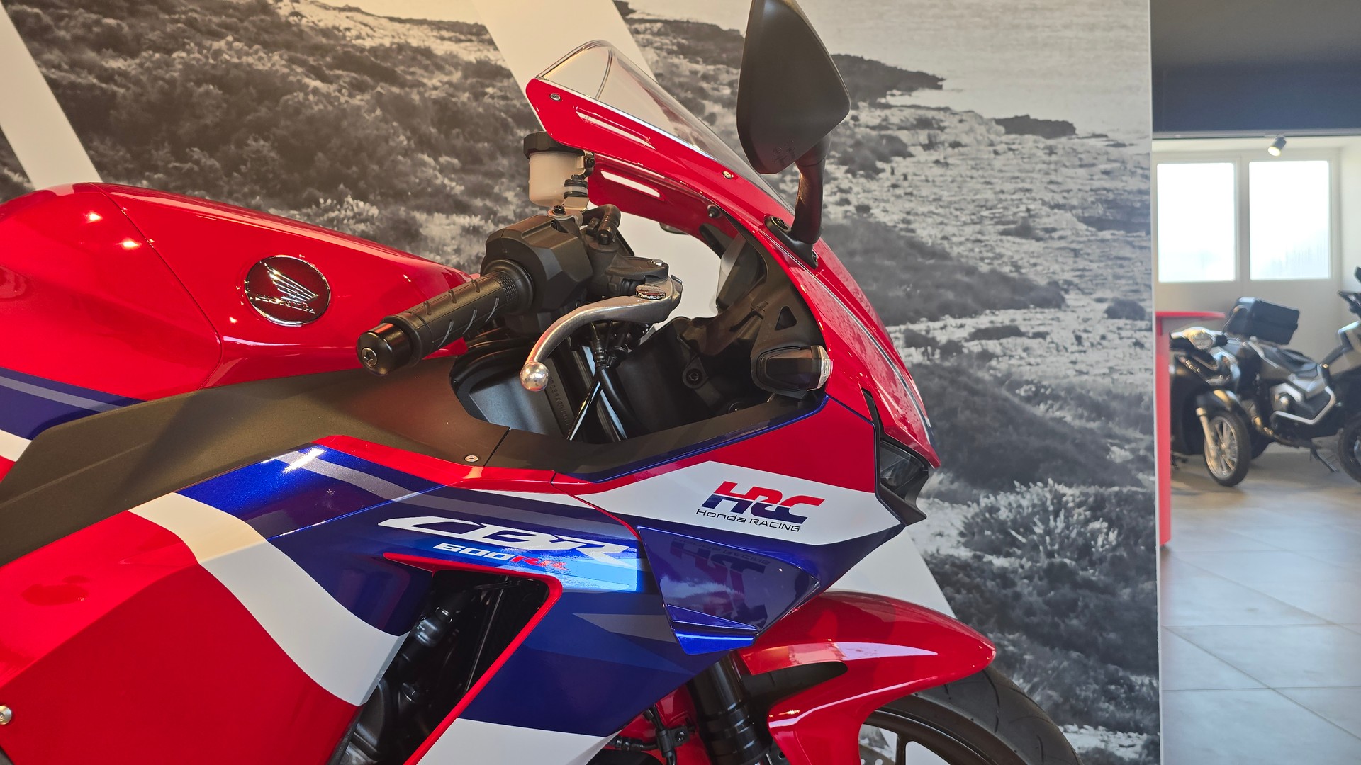 HONDA CBR 600 RR-image-4