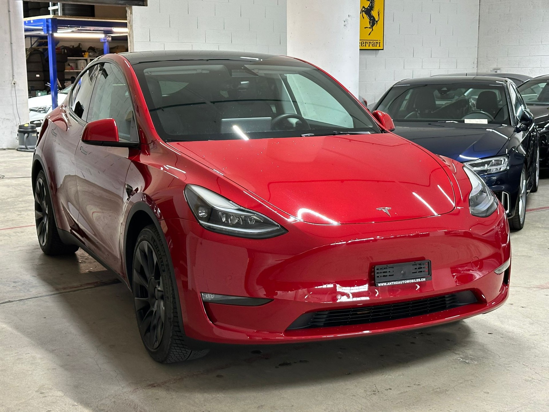 TESLA Model Y Long Range-image-1