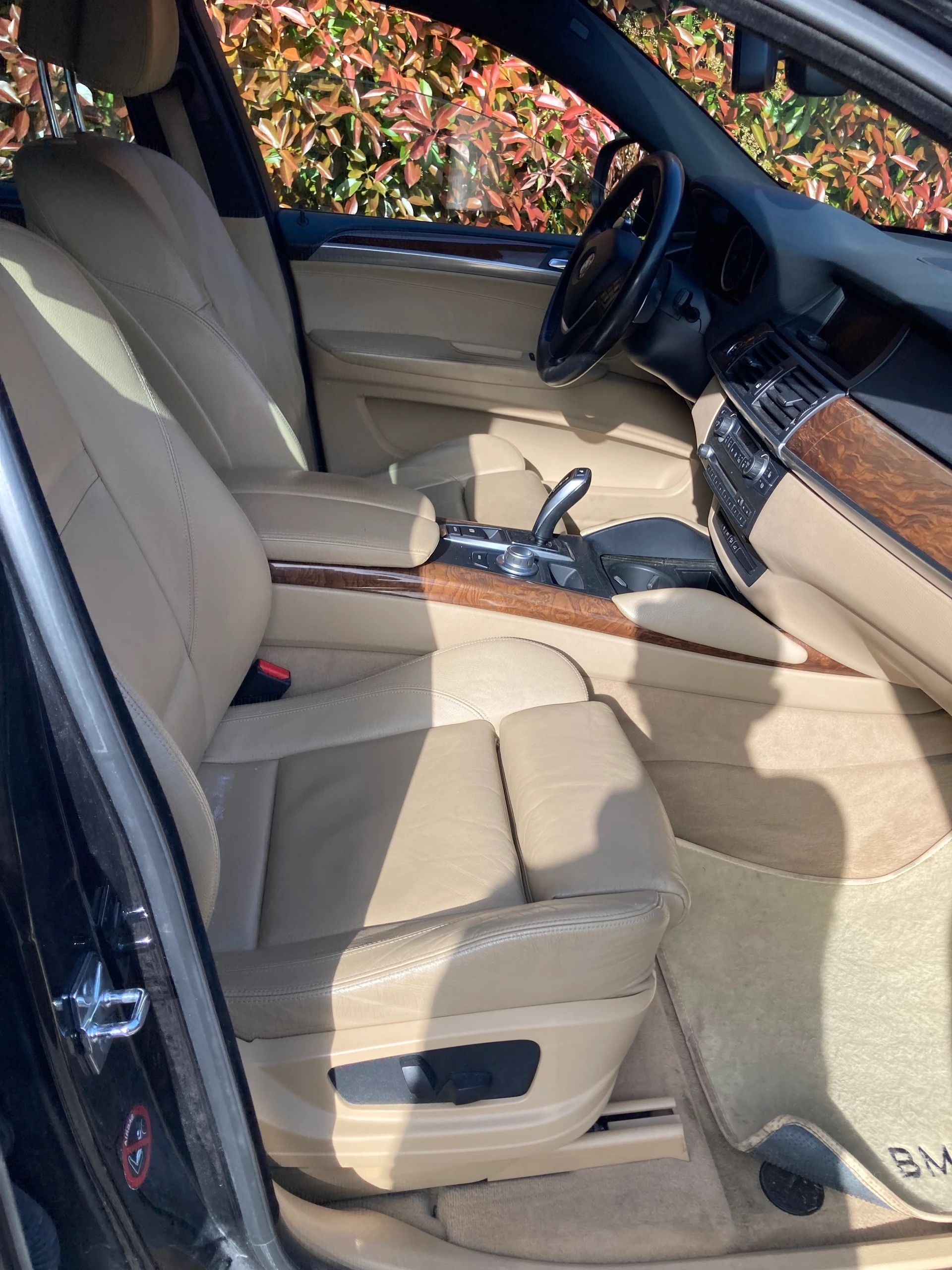 BMW X6 xDrive-image-9