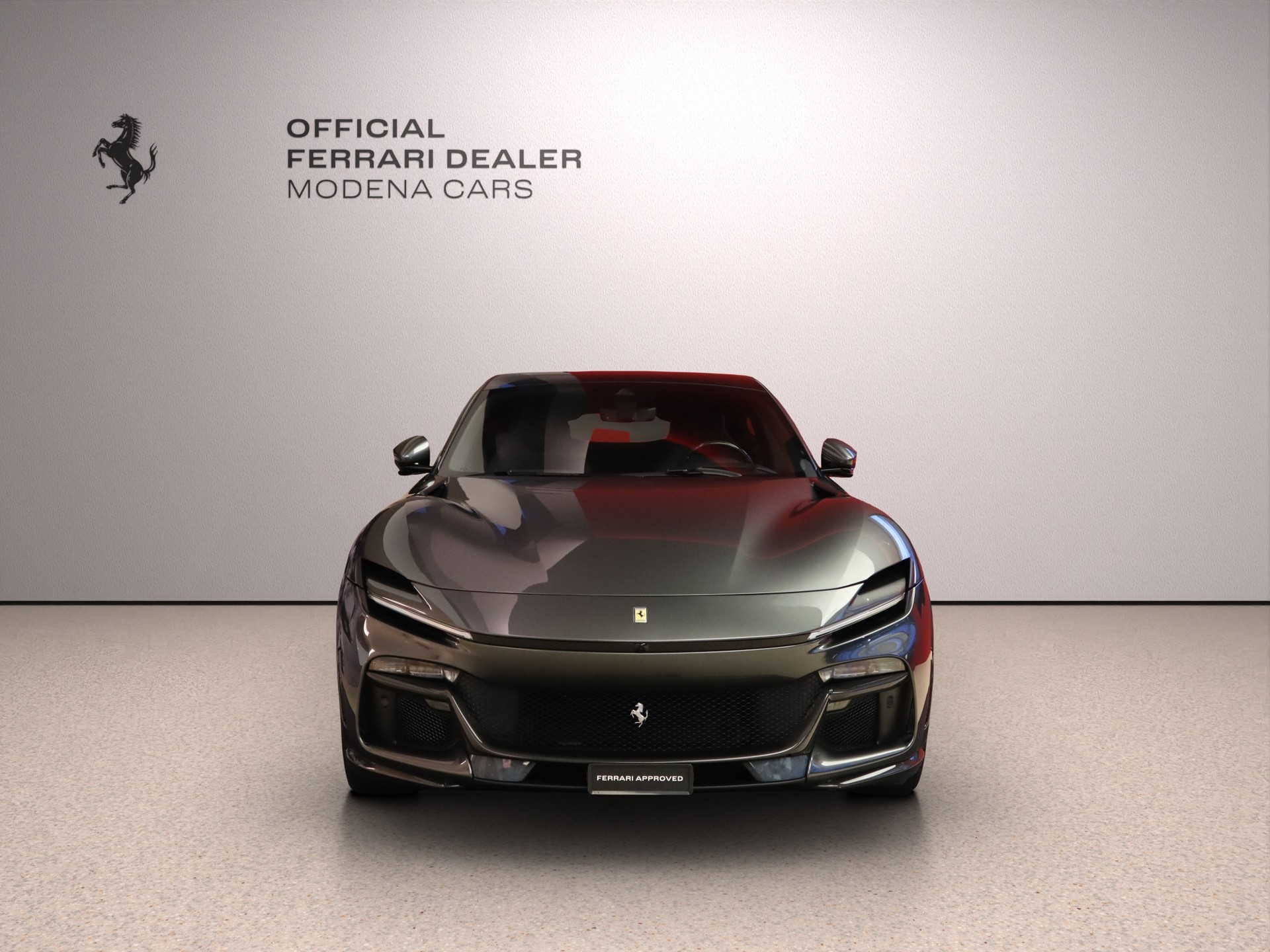 FERRARI PUROSANGUE-image-4