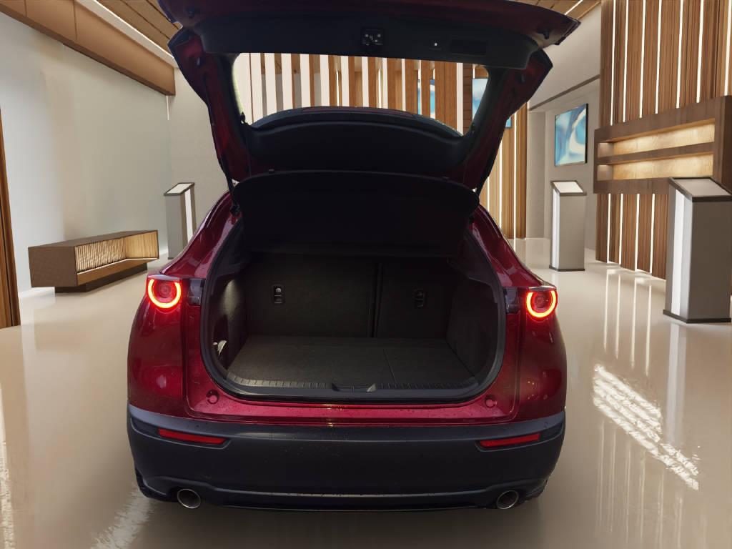 MAZDA CX-30 S-X186 AWD AT Ambition+ 3-image-13