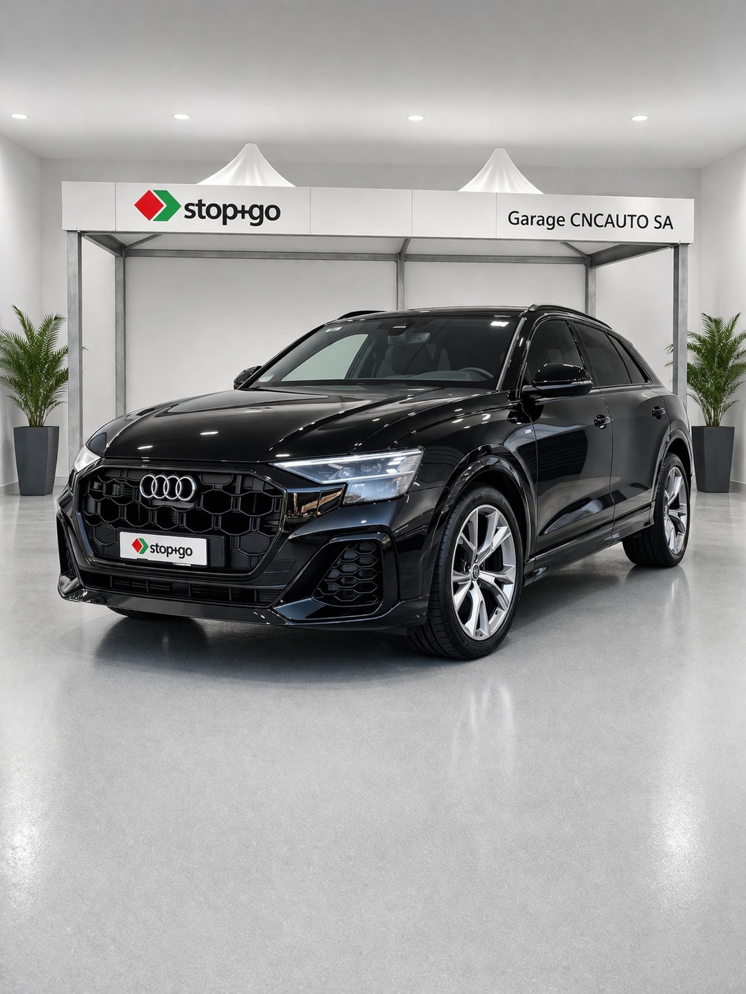 AUDI Q8 55 TFSI e quattro PHEV tiptronic