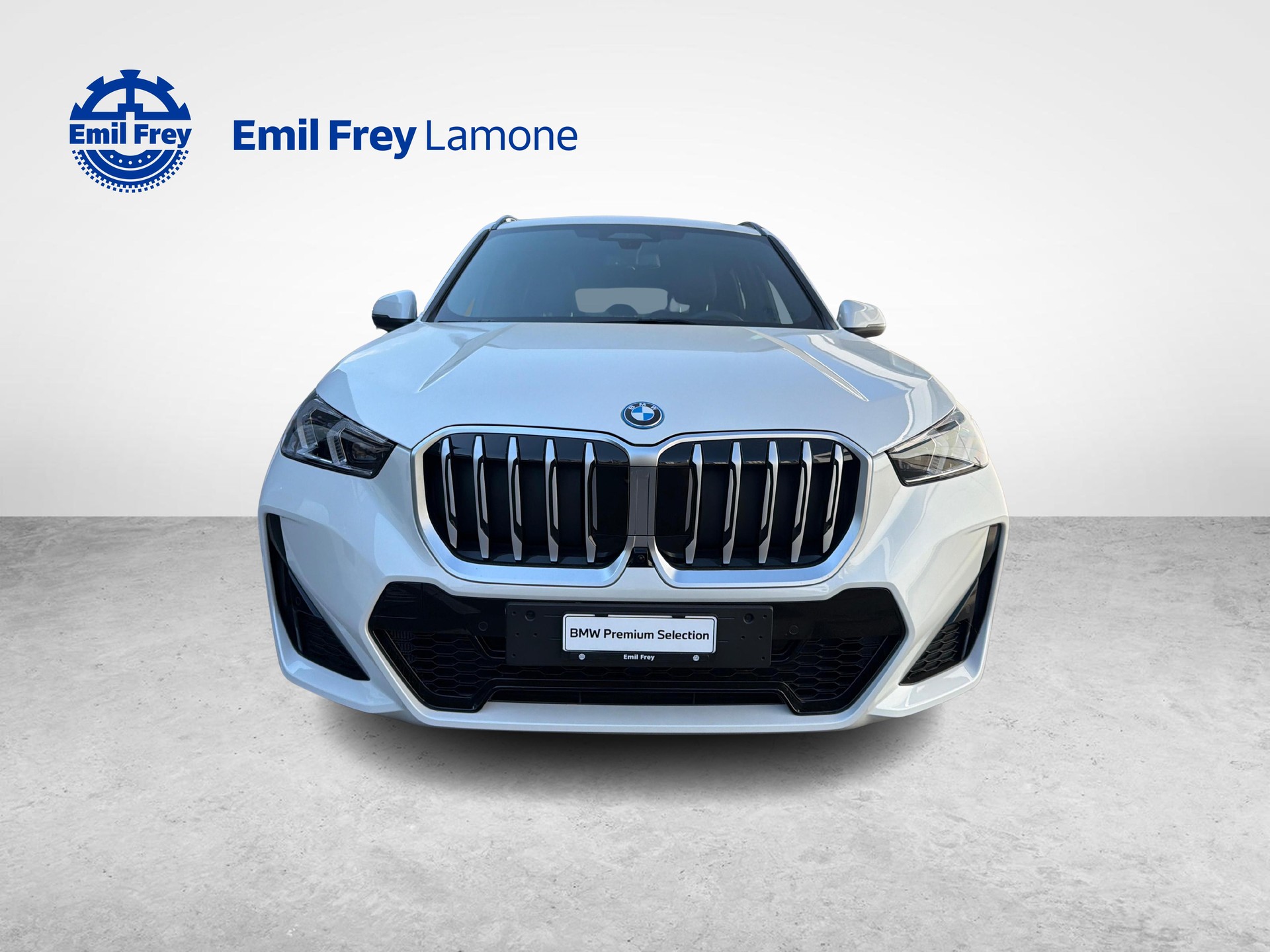 BMW X1 30e xDrive paddles-image-8