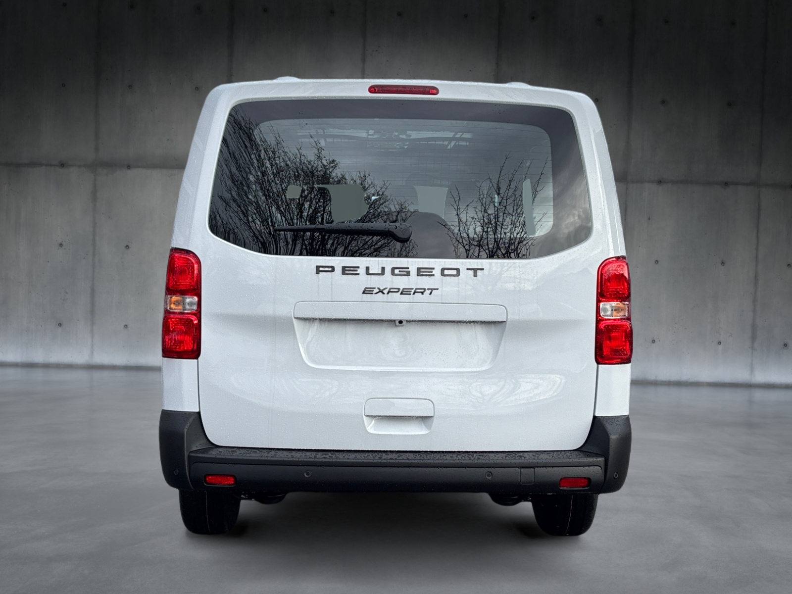 PEUGEOT Expert 2.0 BlueHDi 145 S&S Vertiefte Kabine Long-image-4