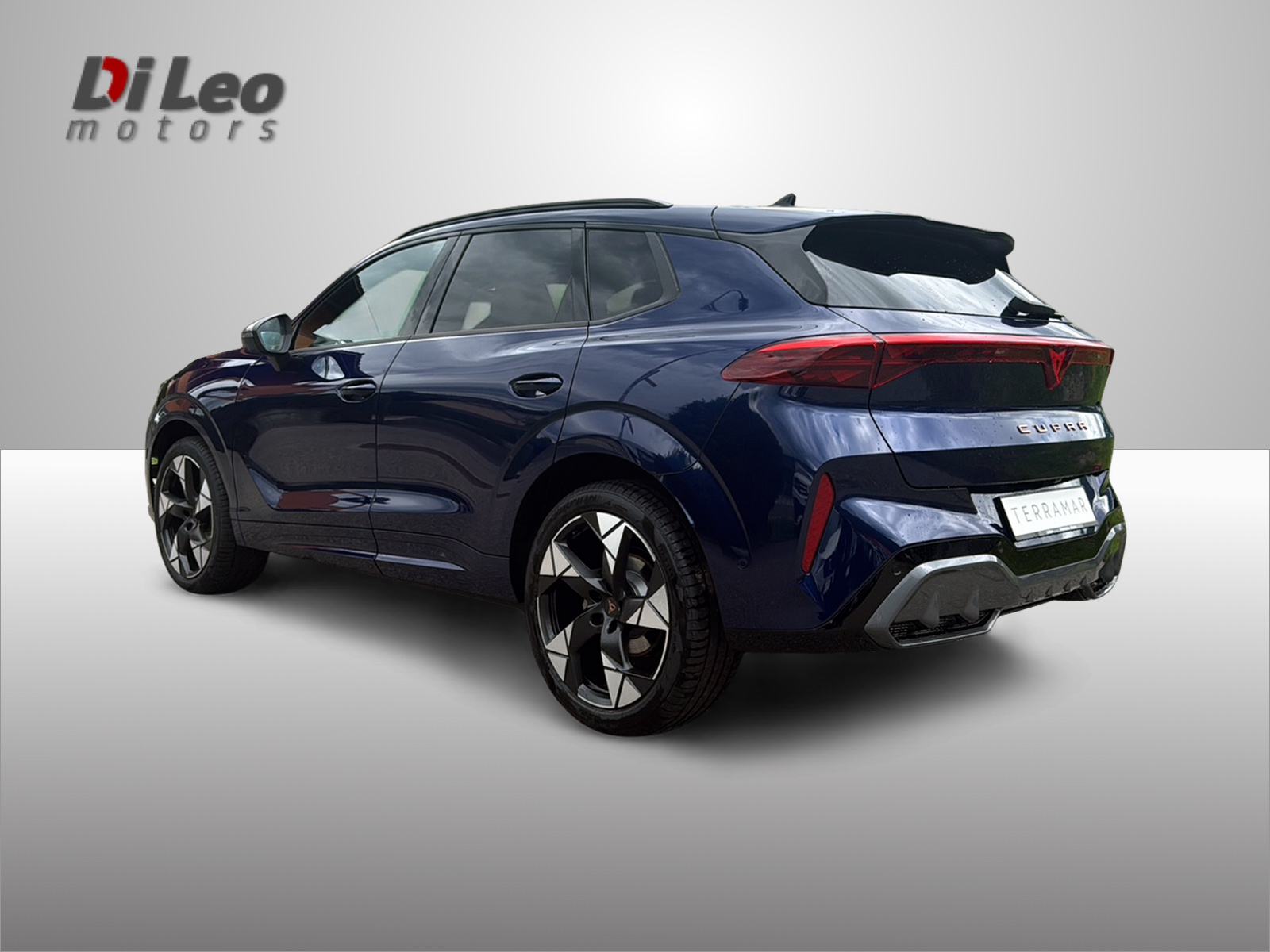 CUPRA Terramar 1.5 eTSI DSG-image-6