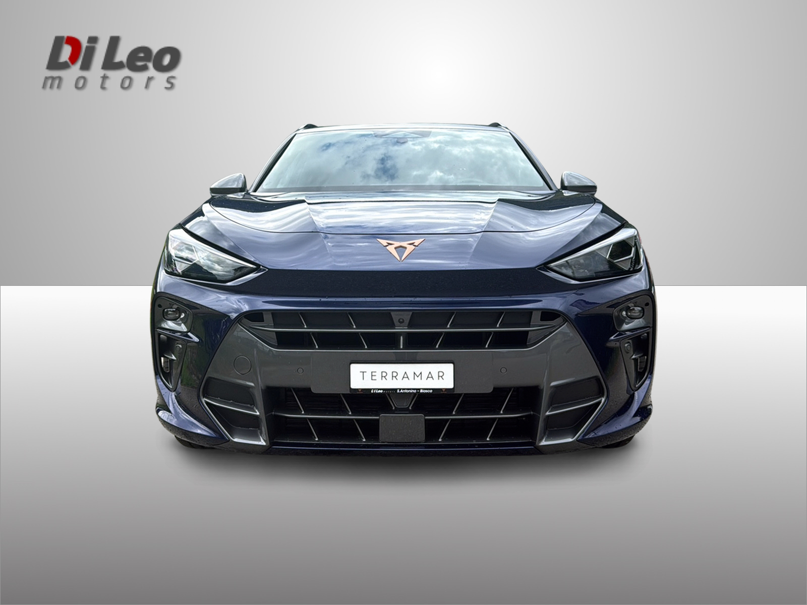 CUPRA Terramar 1.5 eTSI DSG-image-1