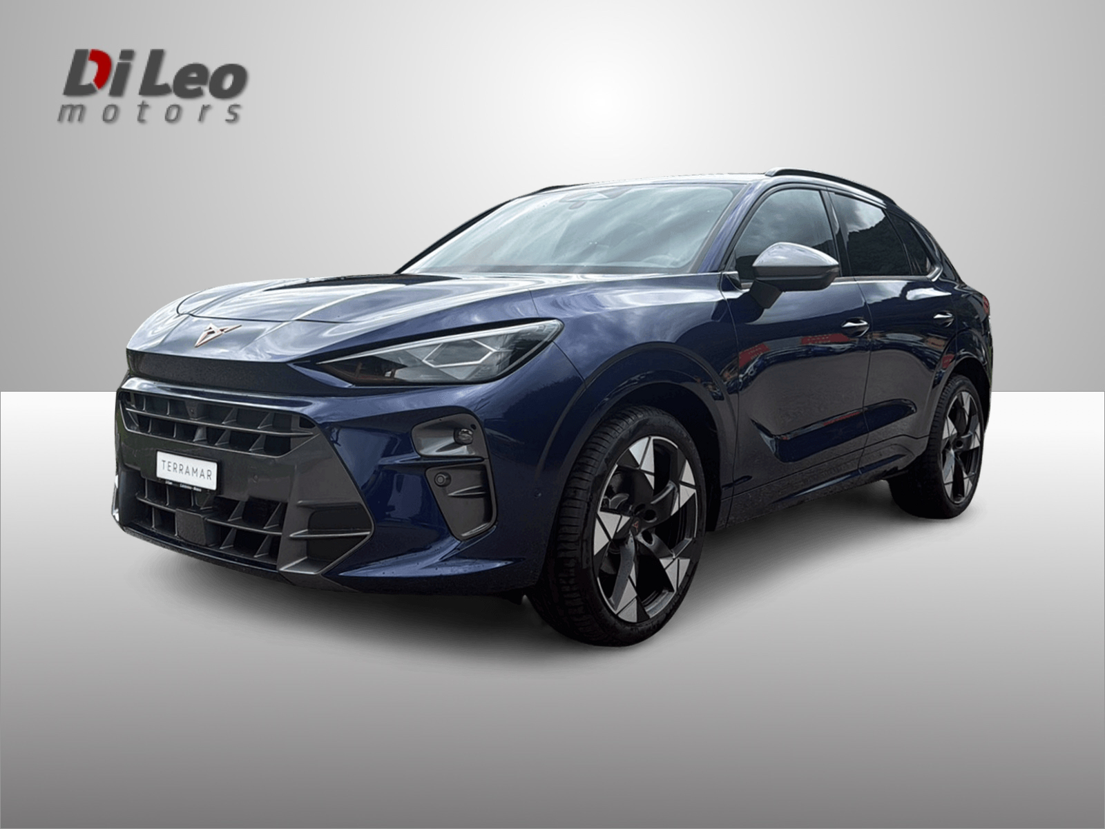 CUPRA Terramar 1.5 eTSI DSG-image-0