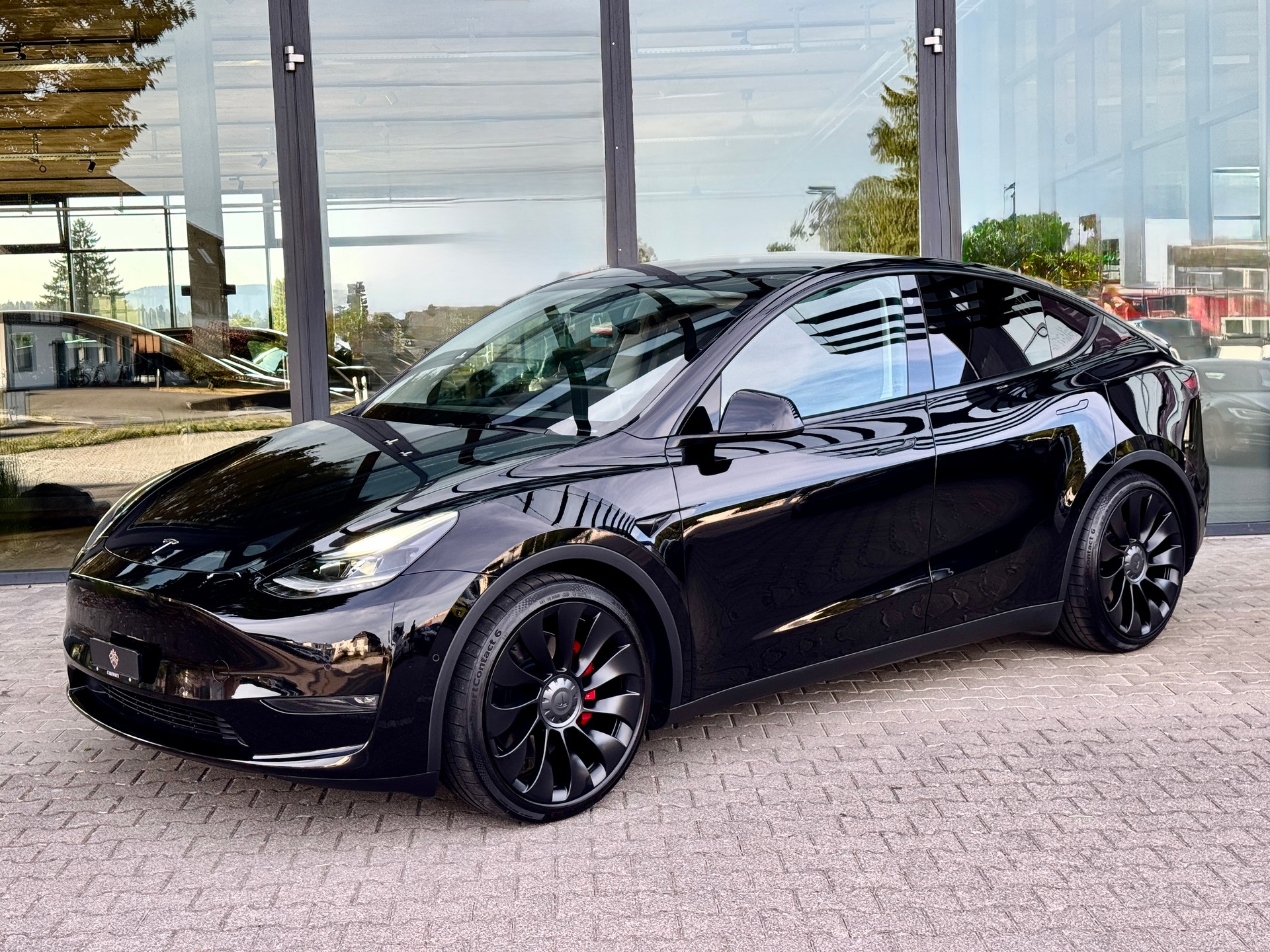 TESLA Model Y Performance / Enhanced Autopilot / AMD Ryzen-image-2