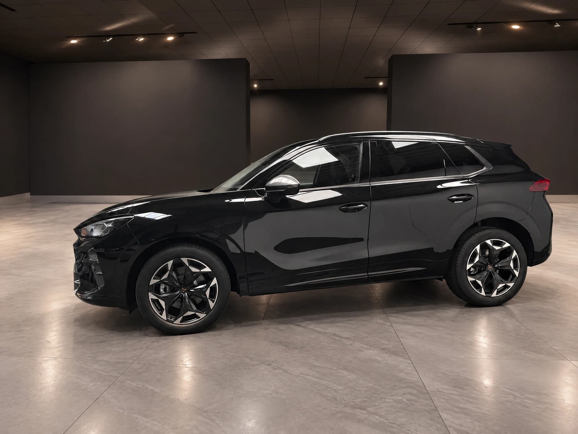 CUPRA Terramar 2.0 TSI Prime Edition DSG 4Drive-image-2