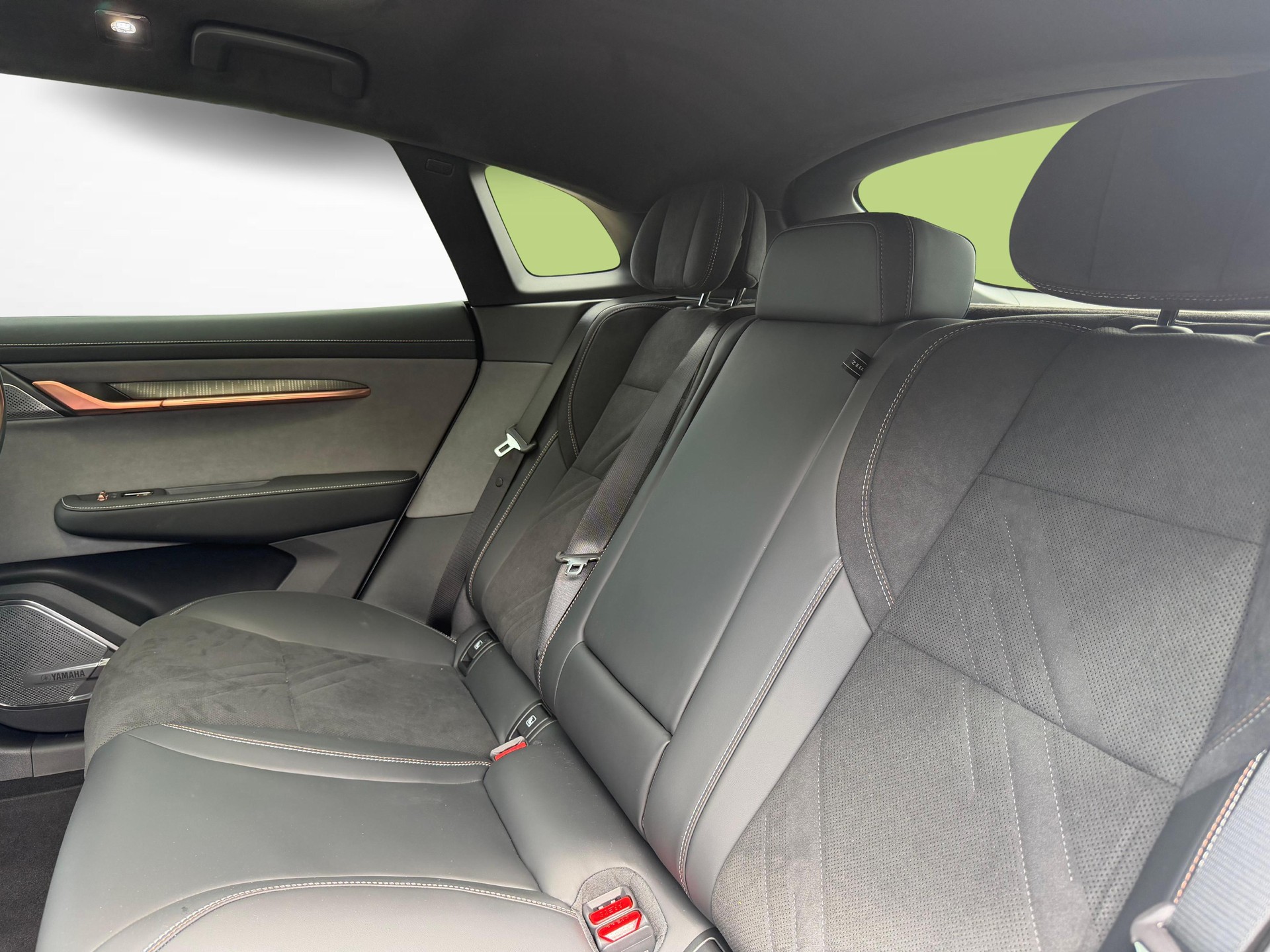 ZEEKR 001 Privilege AWD-image-9