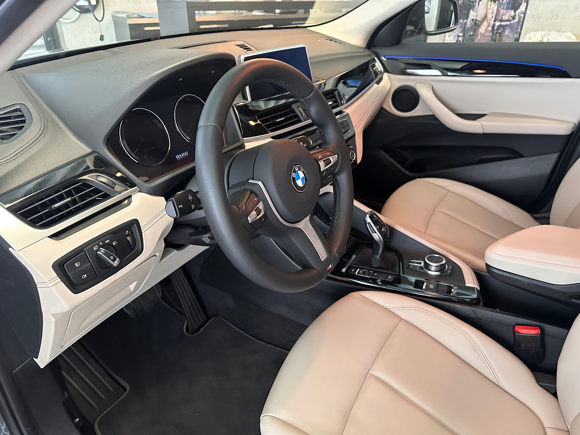 BMW X2 20i xDrive-image-9