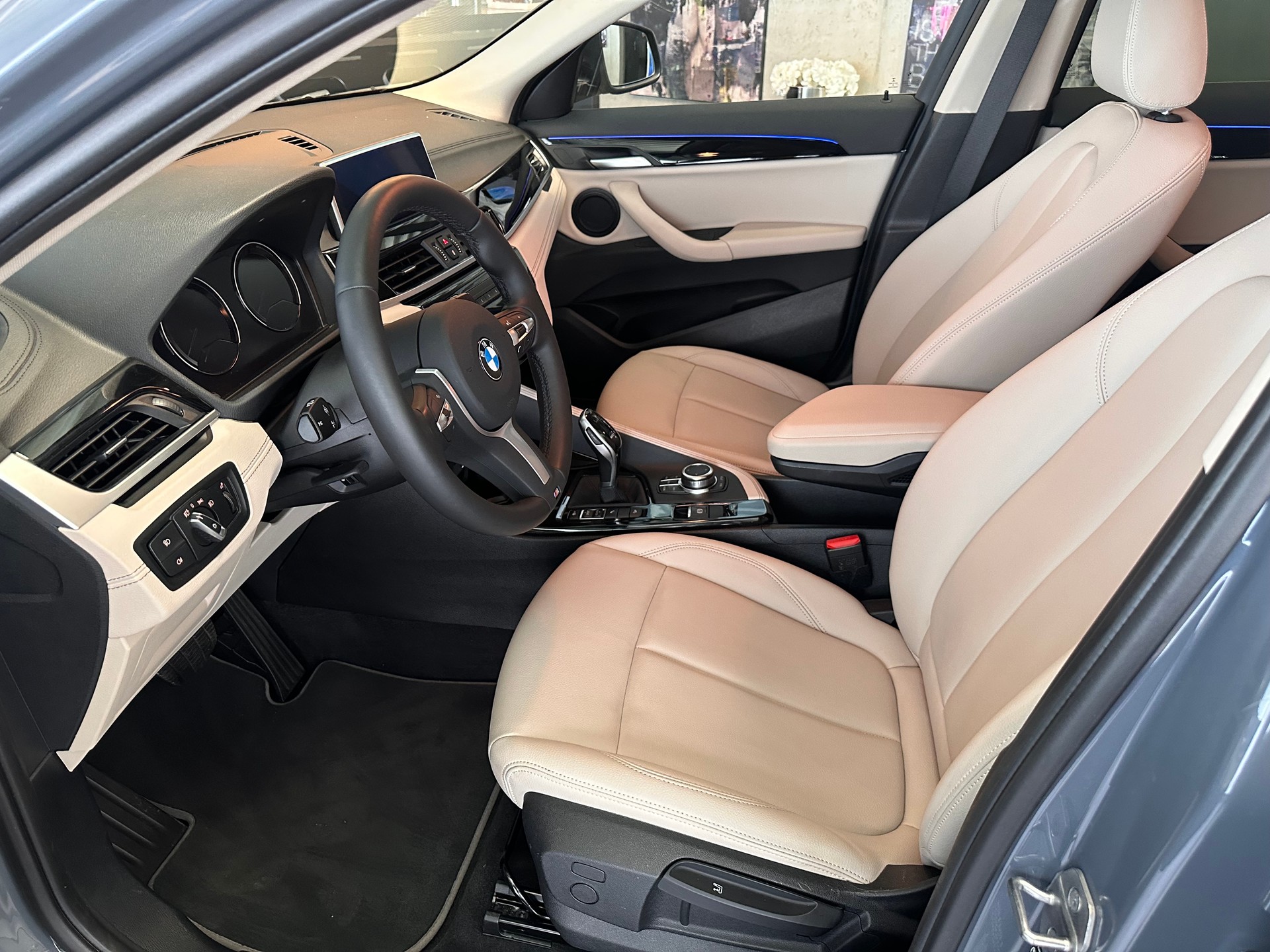 BMW X2 20i xDrive-image-10