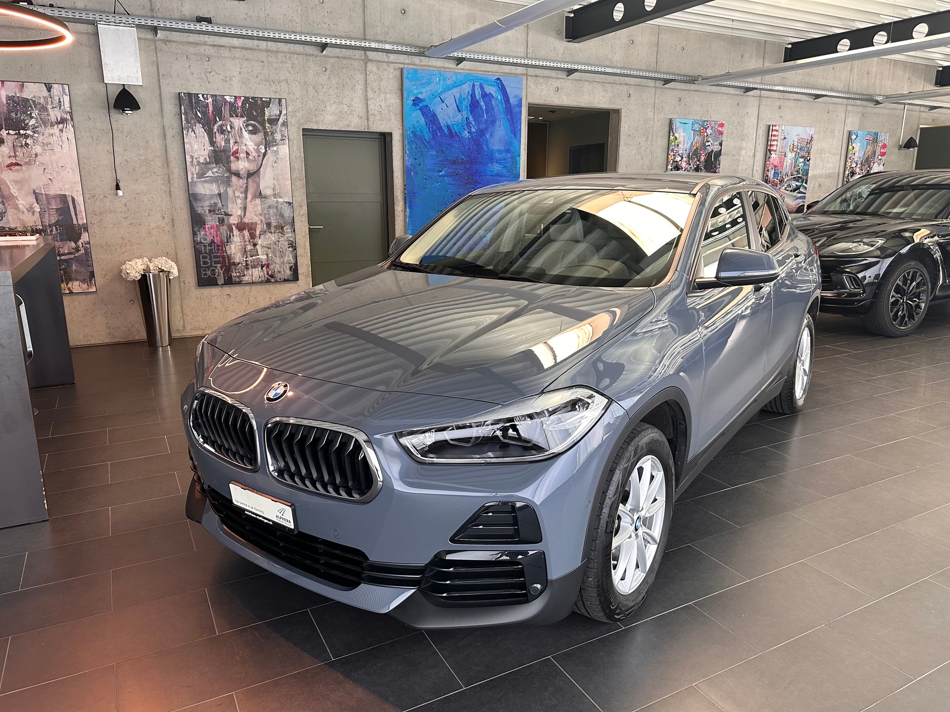 BMW X2 20i xDrive-image-6