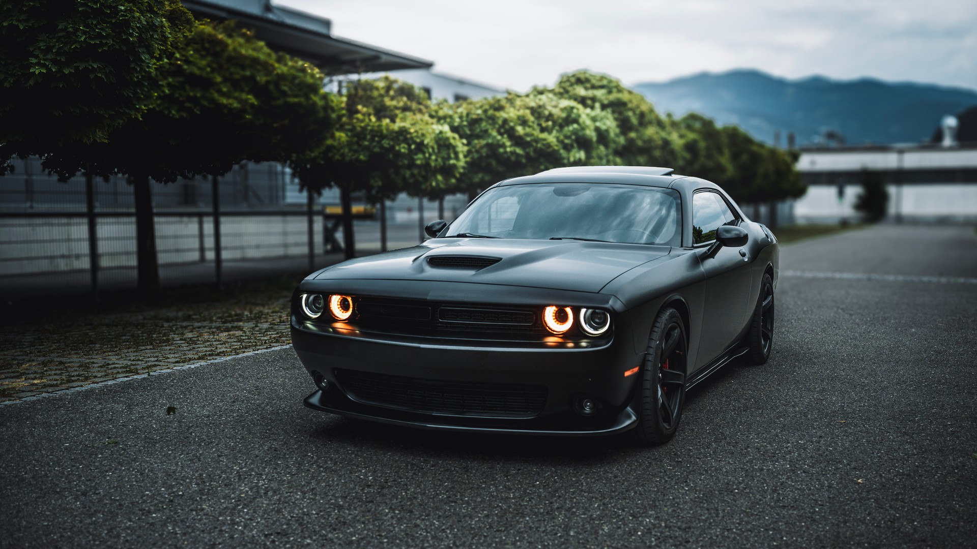 DODGE Challenger SRT 392 6.4 V8 HEMI-image-2