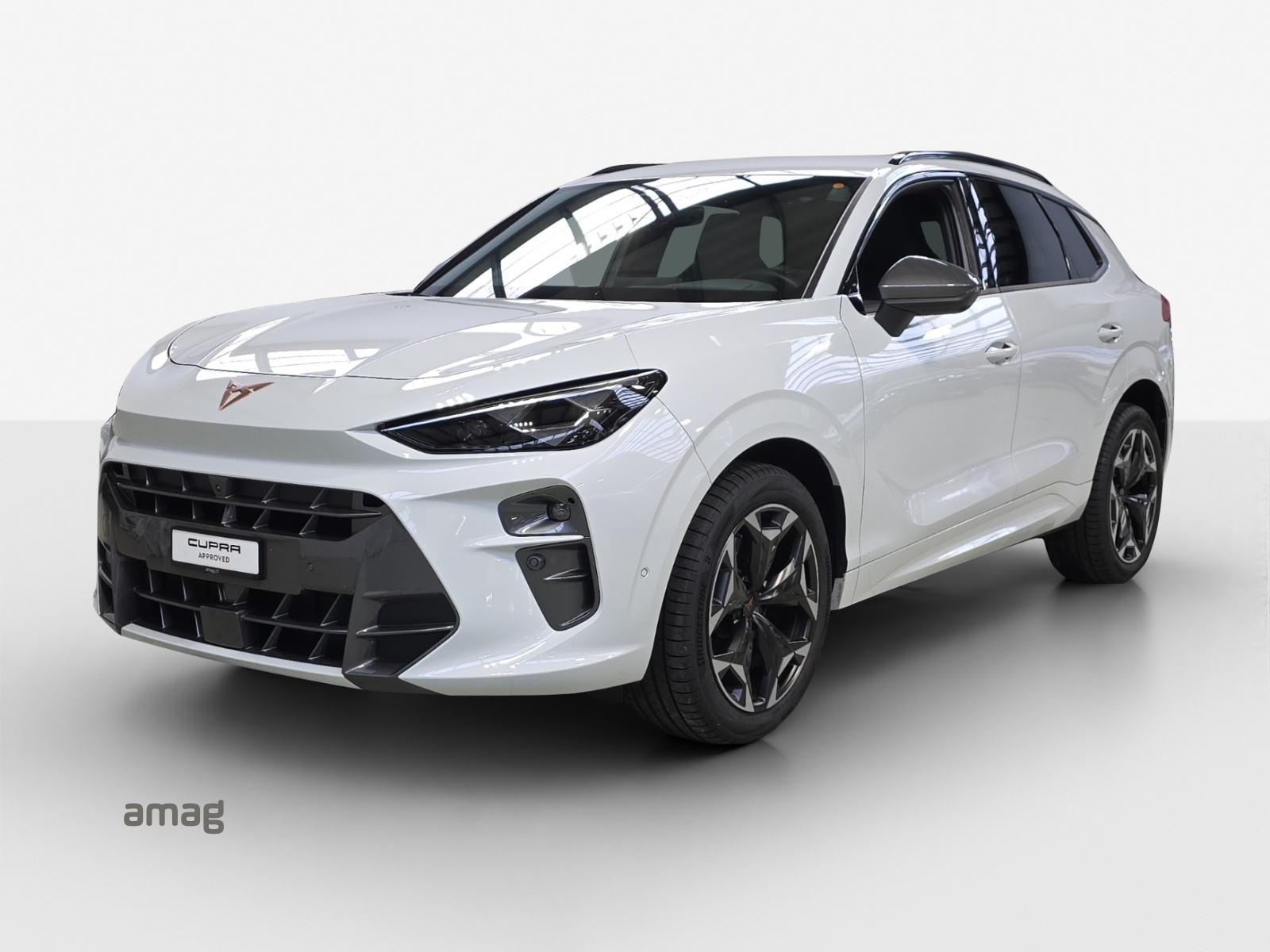 CUPRA Terramar 2.0 TSI DSG 4Drive VZ-image-0