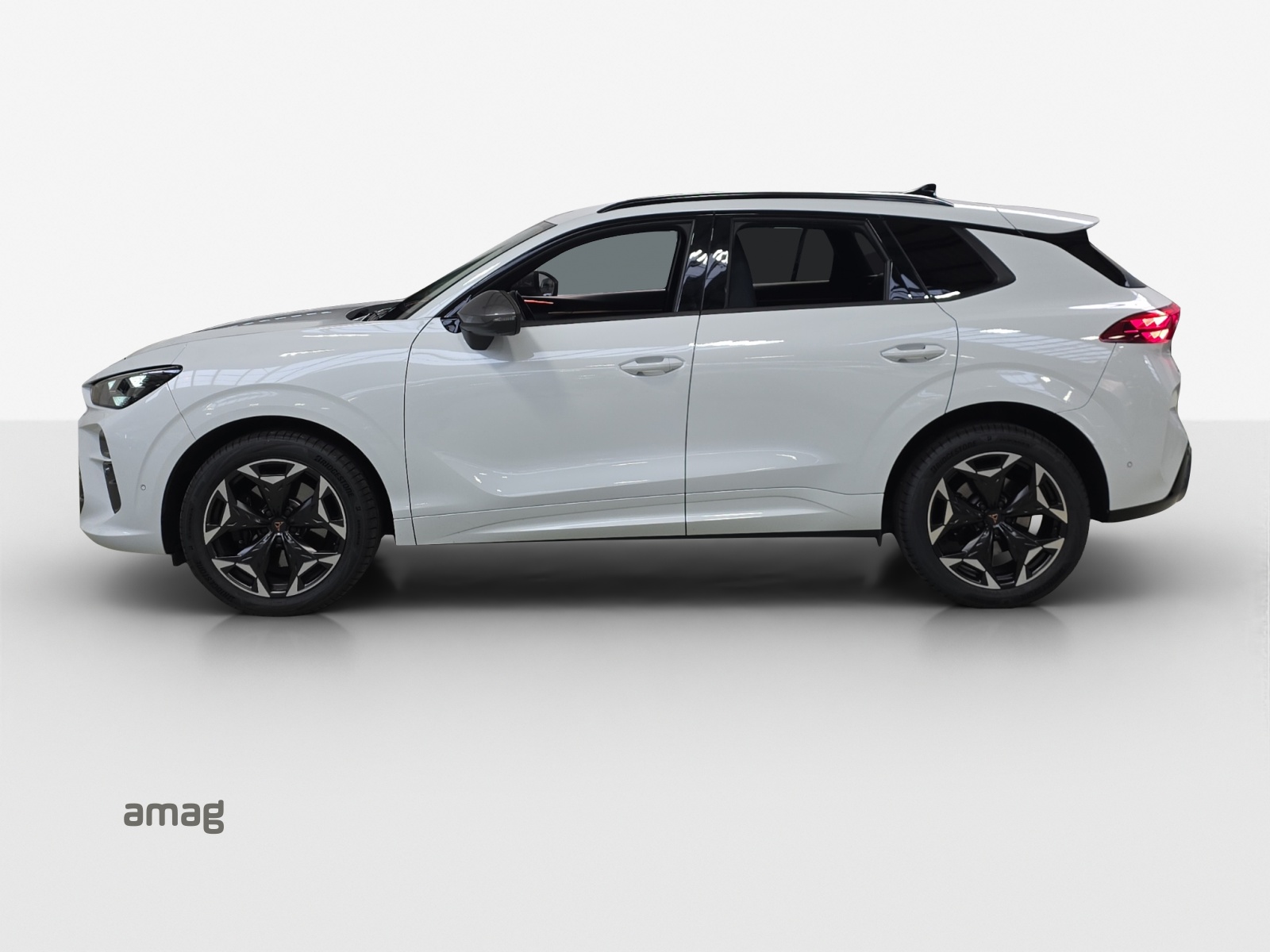 CUPRA Terramar 2.0 TSI DSG 4Drive VZ-image-1