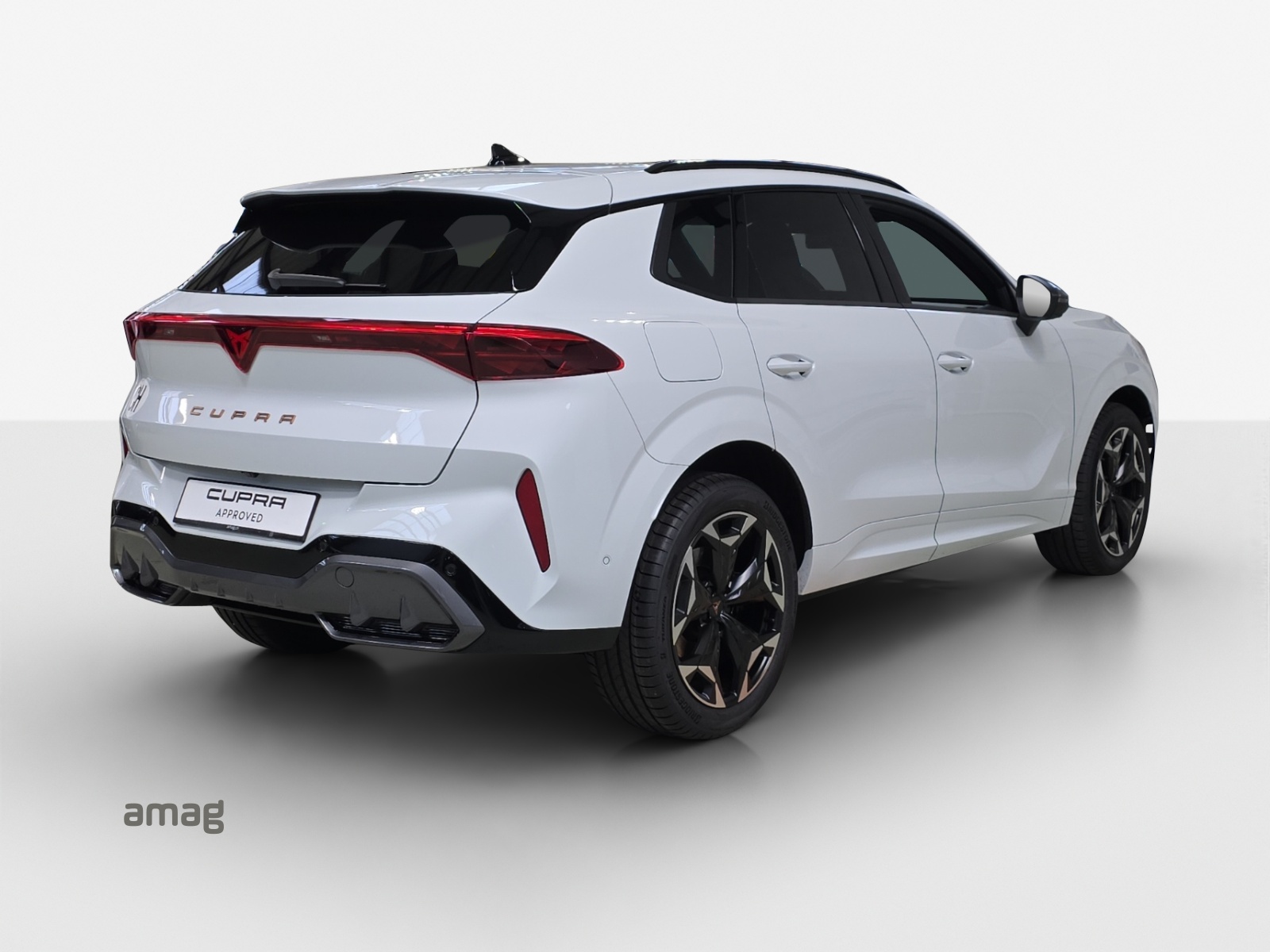 CUPRA Terramar 2.0 TSI DSG 4Drive VZ-image-4