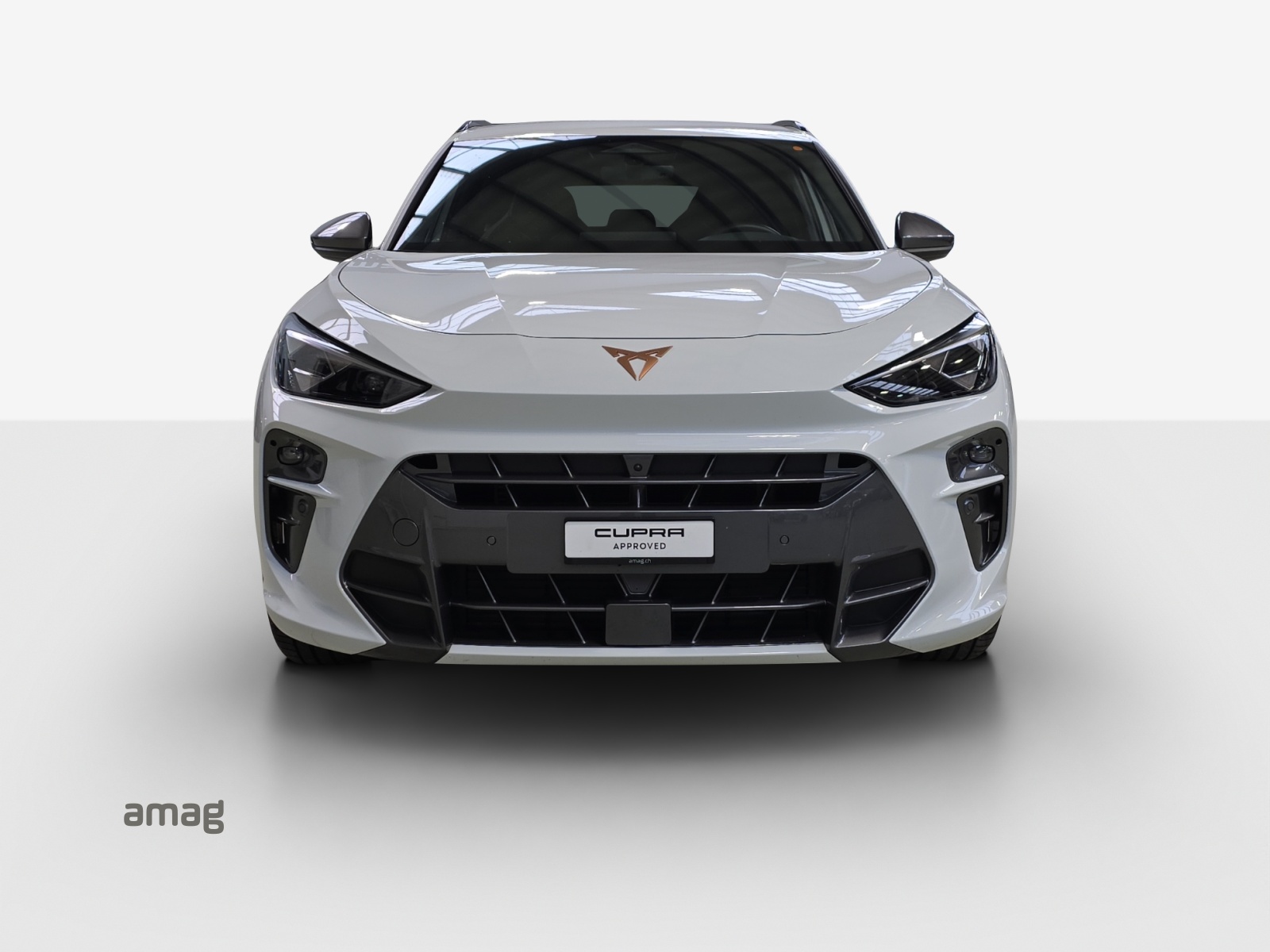 CUPRA Terramar 2.0 TSI DSG 4Drive VZ-image-6